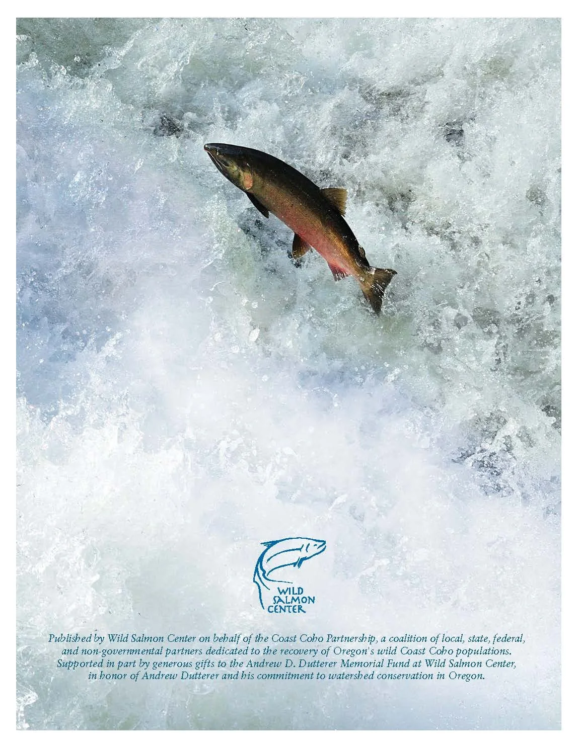 Nehalem-SAP-Coho-Salmon-Recovery-no-appendices_Page_108.jpg