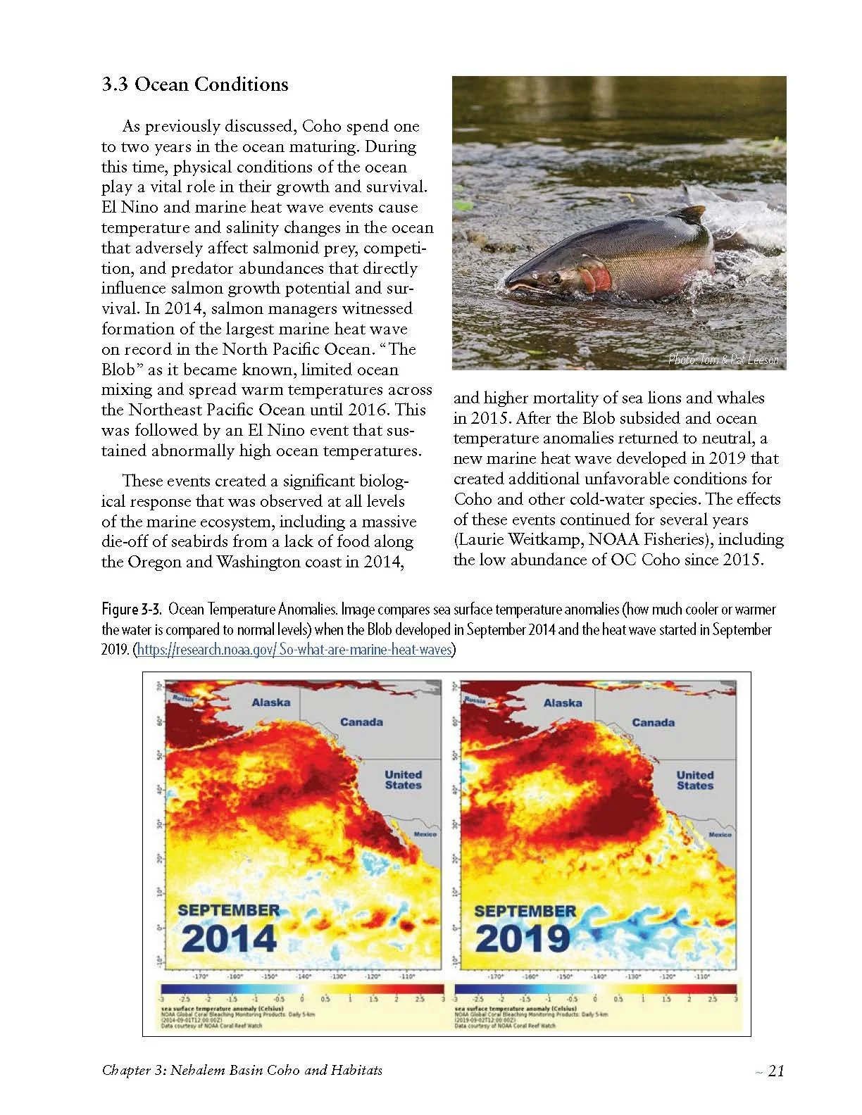 Nehalem-SAP-Coho-Salmon-Recovery-no-appendices_Page_031.jpg