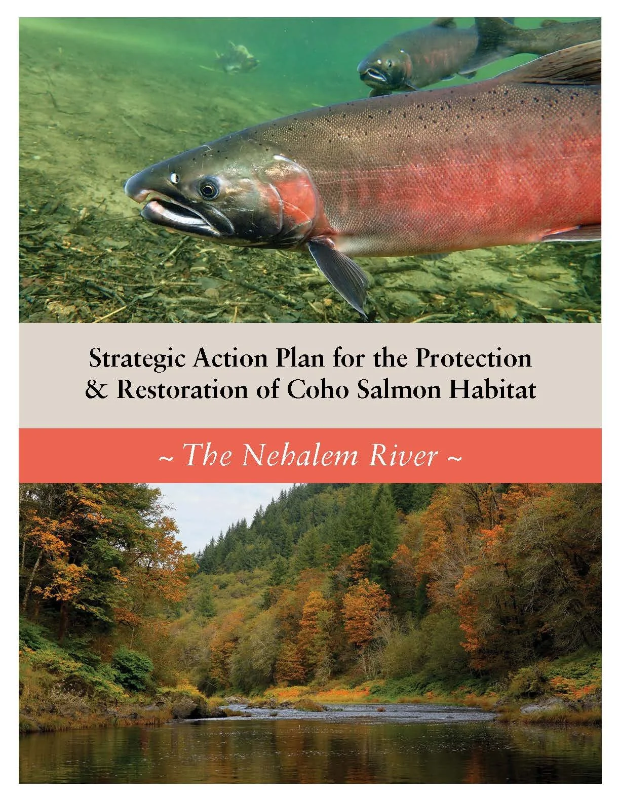 Nehalem-SAP-Coho-Salmon-Recovery-no-appendices_Page_001.jpg