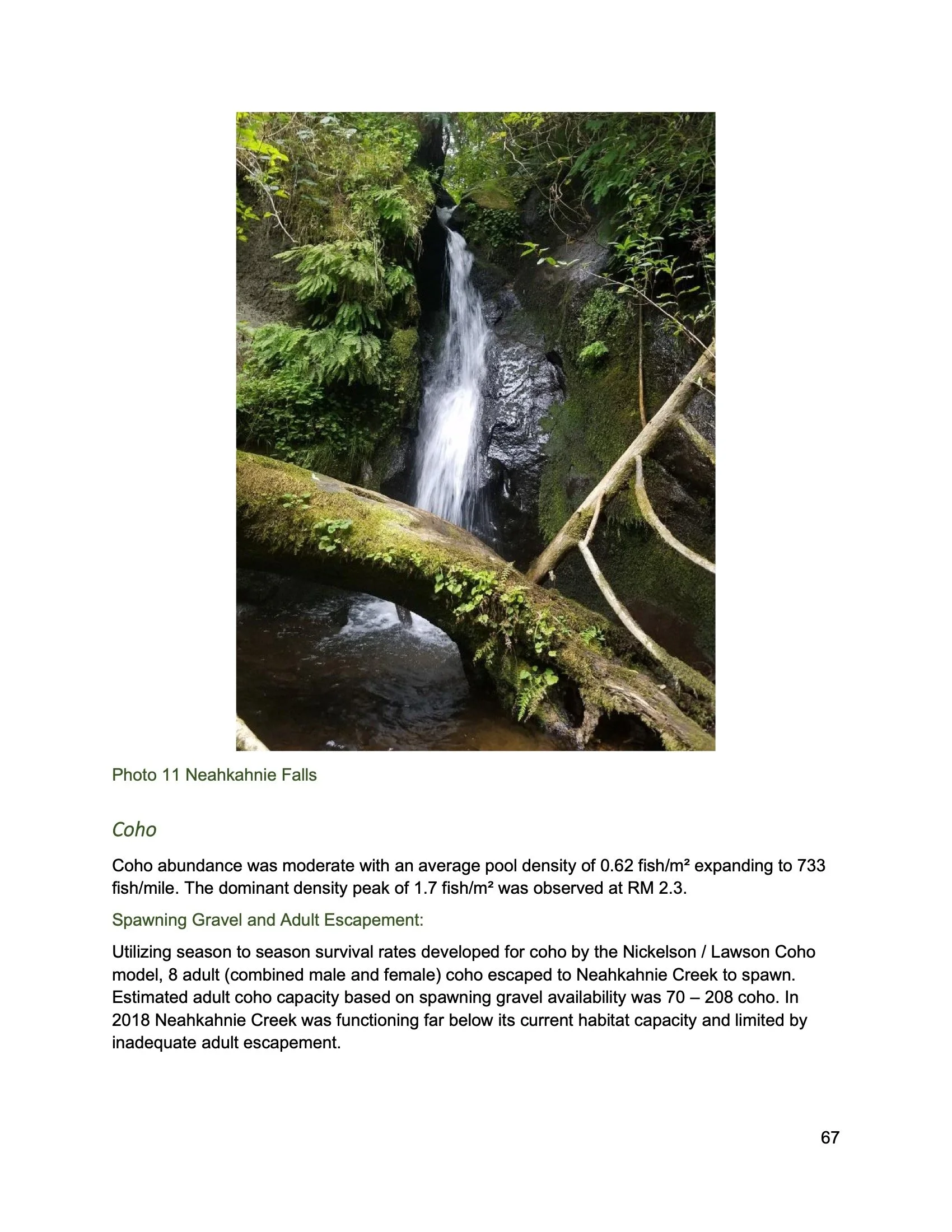 Nehalem SAP Appendices Binder 149.jpeg
