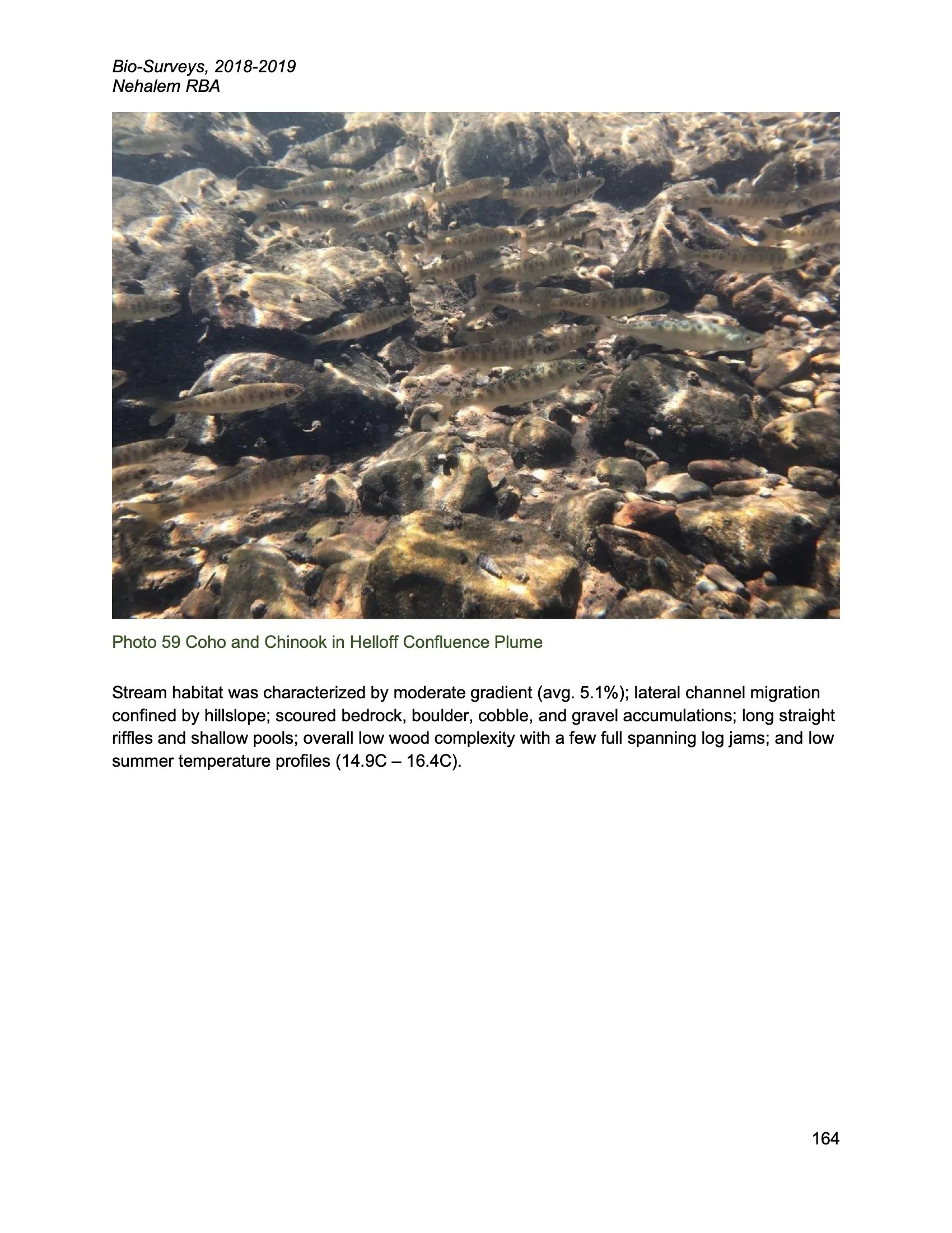 Nehalem SAP Appendices Binder 246.jpeg