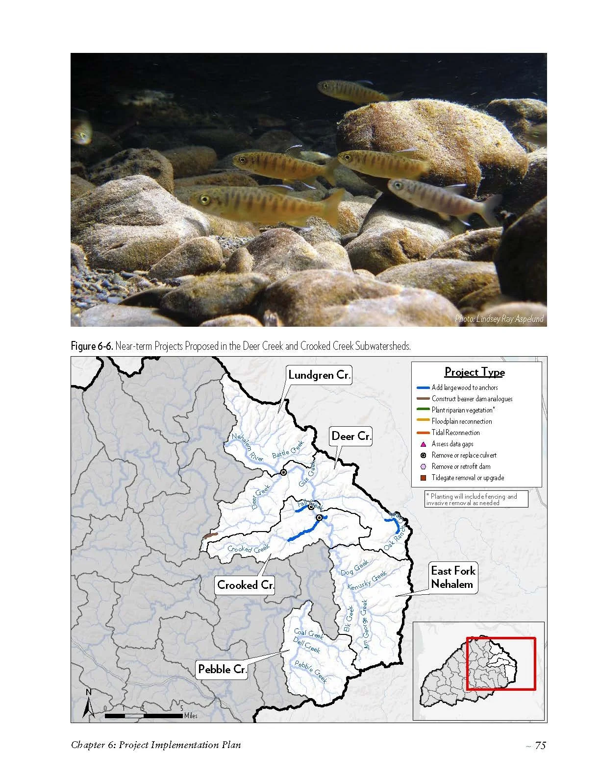 Nehalem-SAP-Coho-Salmon-Recovery-no-appendices_Page_085.jpg