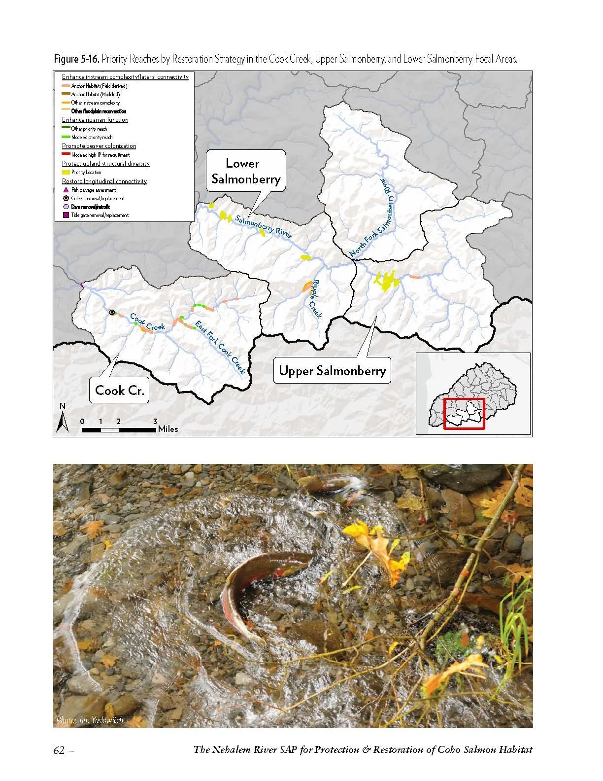 Nehalem-SAP-Coho-Salmon-Recovery-no-appendices_Page_072.jpg