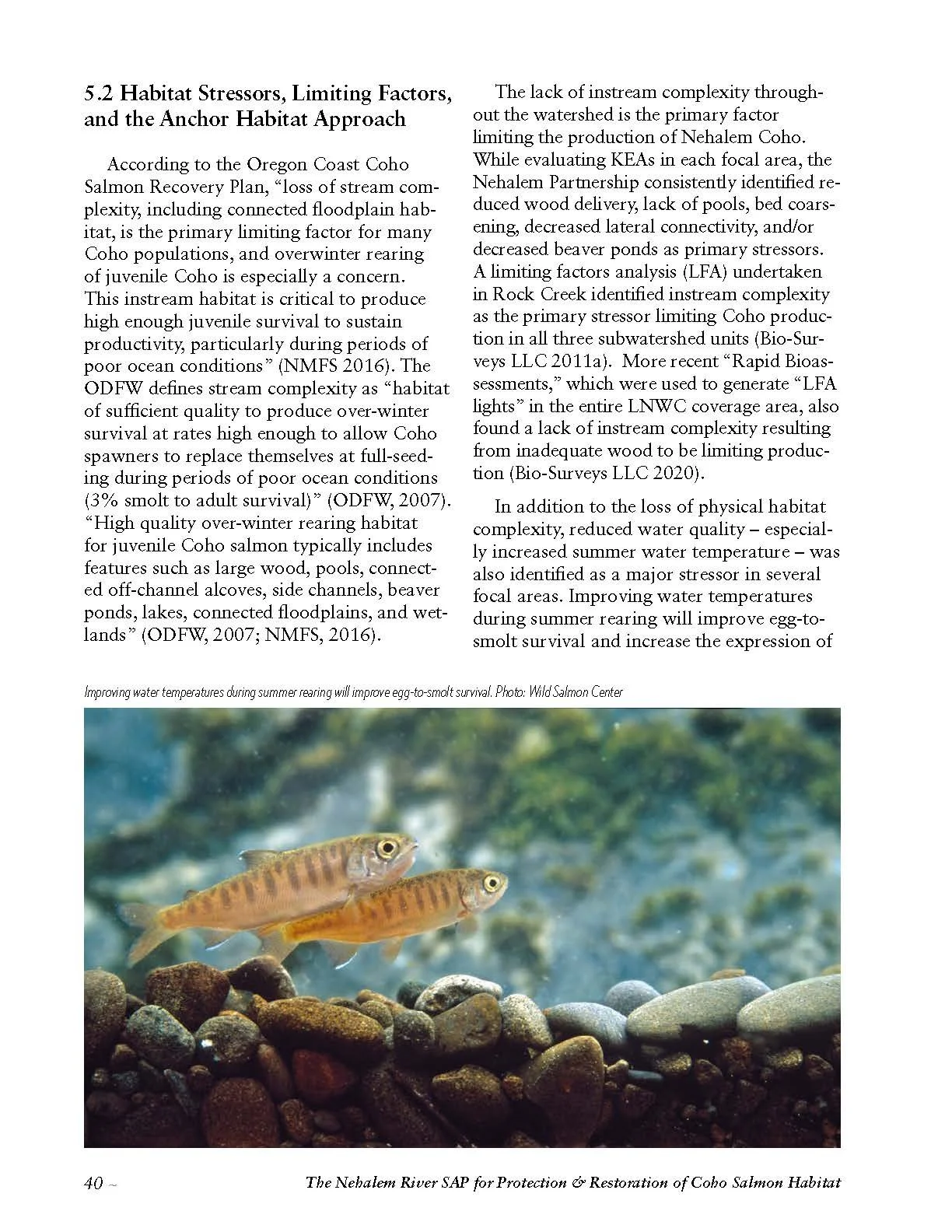 Nehalem-SAP-Coho-Salmon-Recovery-no-appendices_Page_050.jpg