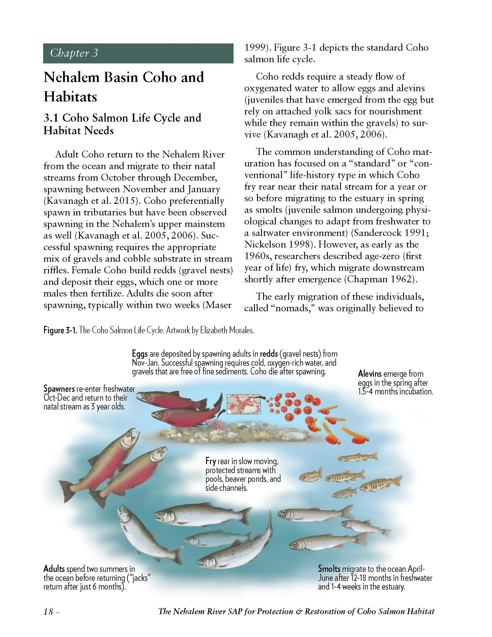 Nehalem-SAP-Coho-Salmon-Recovery-no-appendices_Page_028.jpg