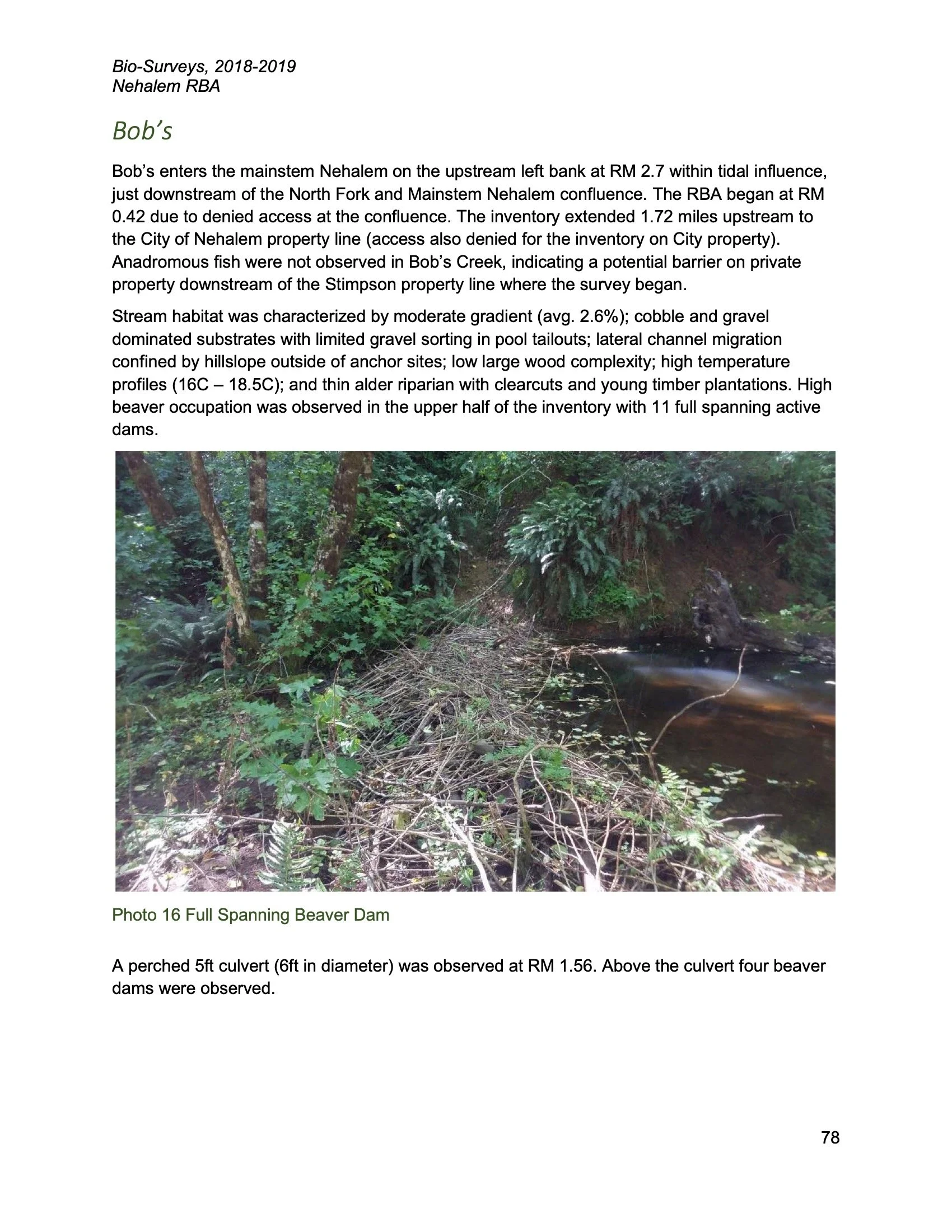 Nehalem SAP Appendices Binder 160.jpeg