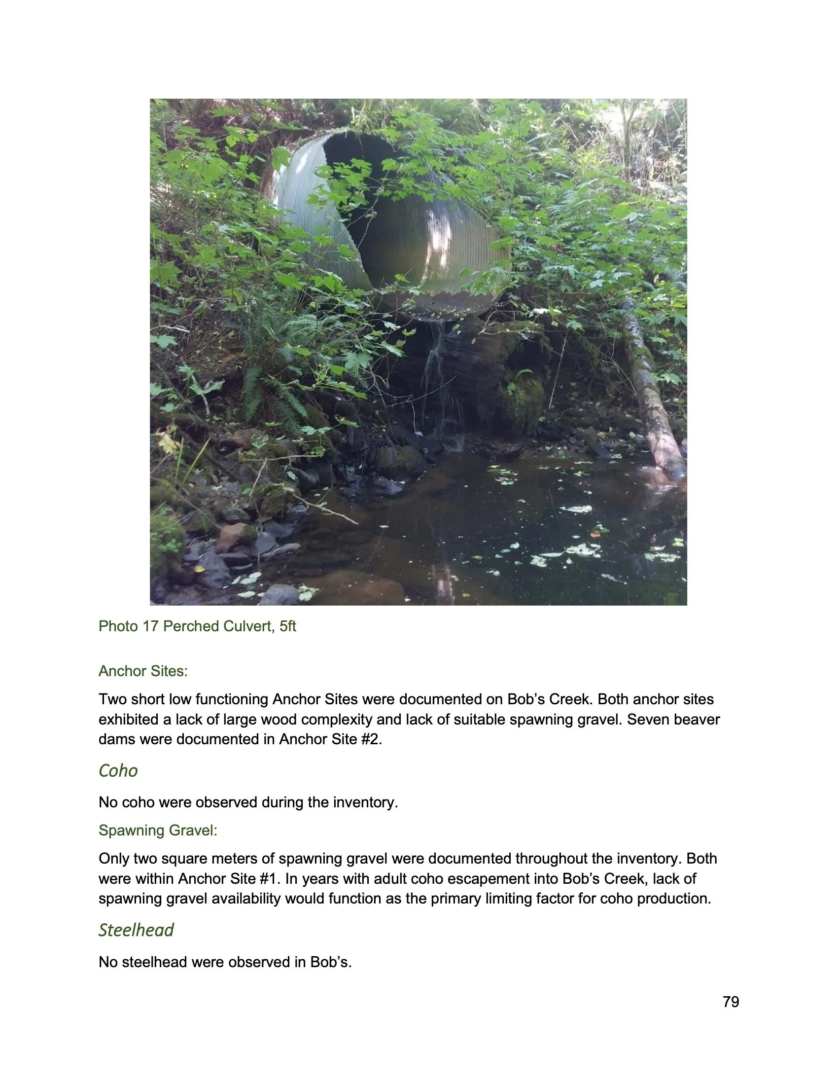Nehalem SAP Appendices Binder 161.jpeg