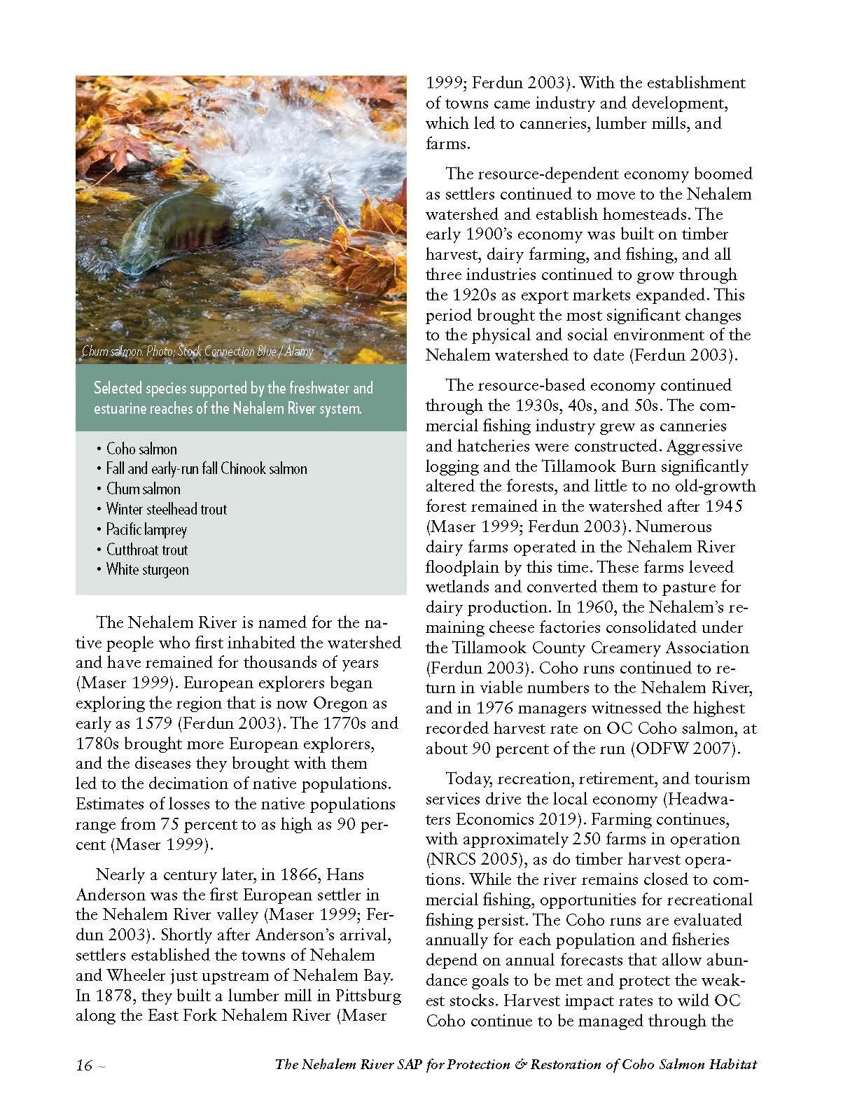Nehalem-SAP-Coho-Salmon-Recovery-no-appendices_Page_026.jpg