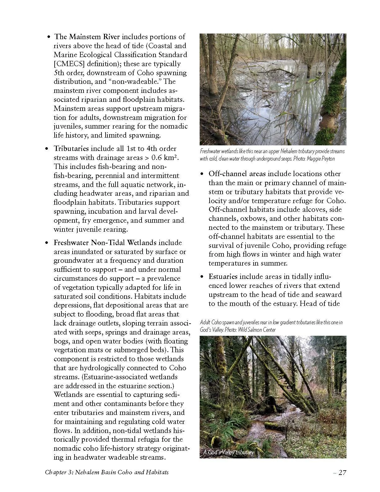 Nehalem-SAP-Coho-Salmon-Recovery-no-appendices_Page_037.jpg