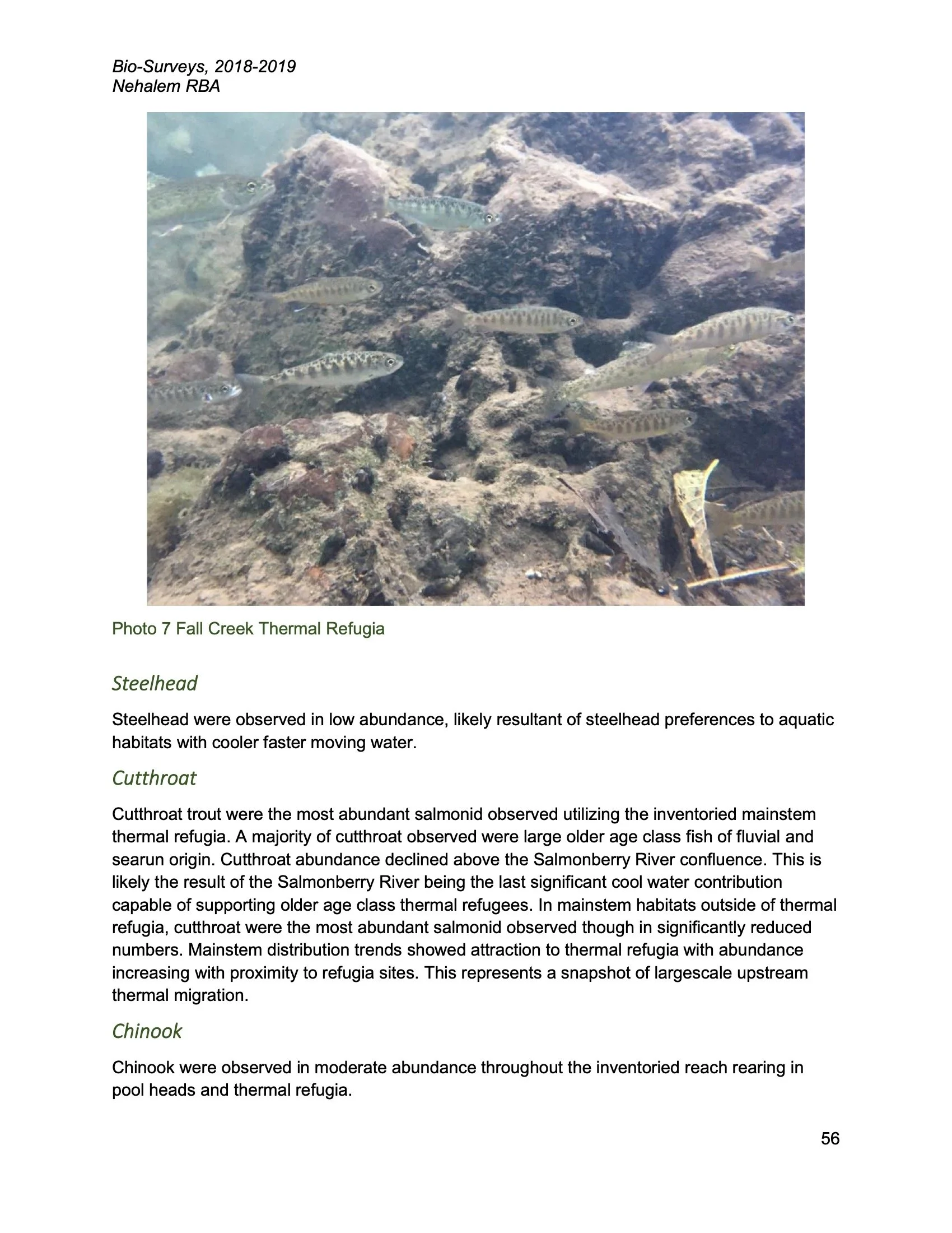 Nehalem SAP Appendices Binder 138.jpeg