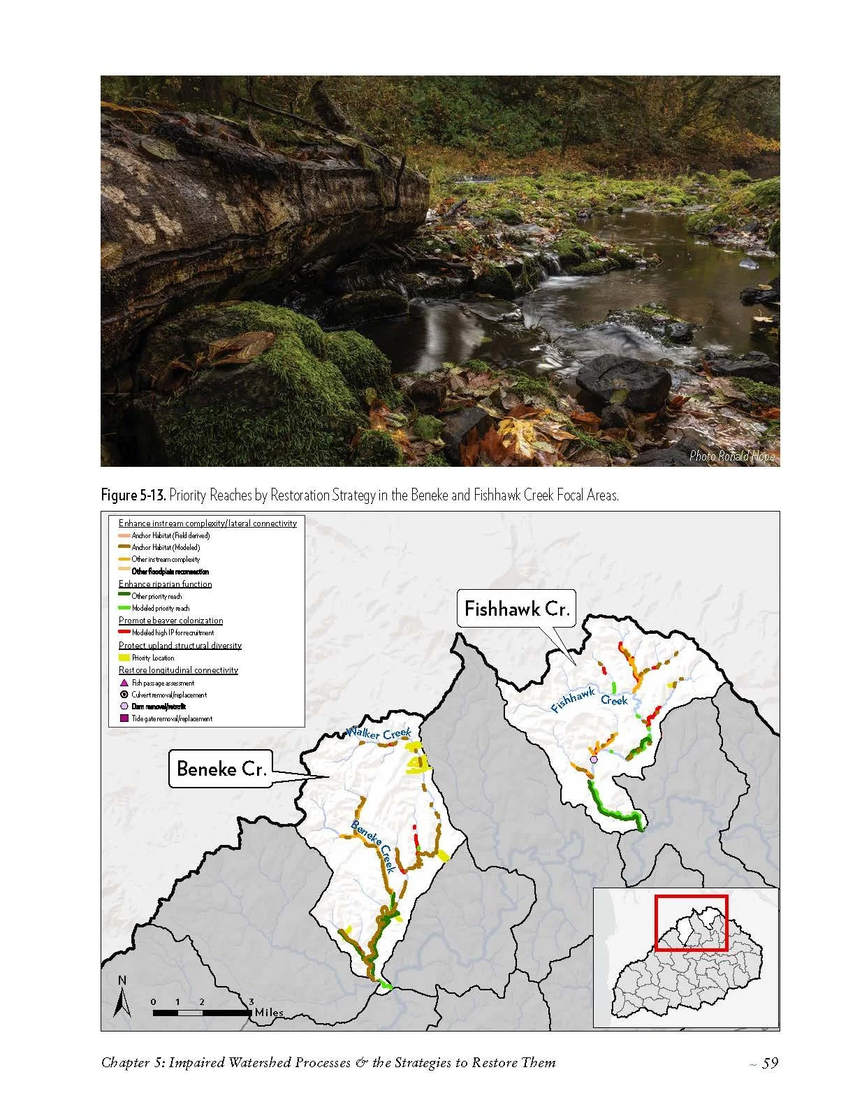 Nehalem-SAP-Coho-Salmon-Recovery-no-appendices_Page_069.jpg