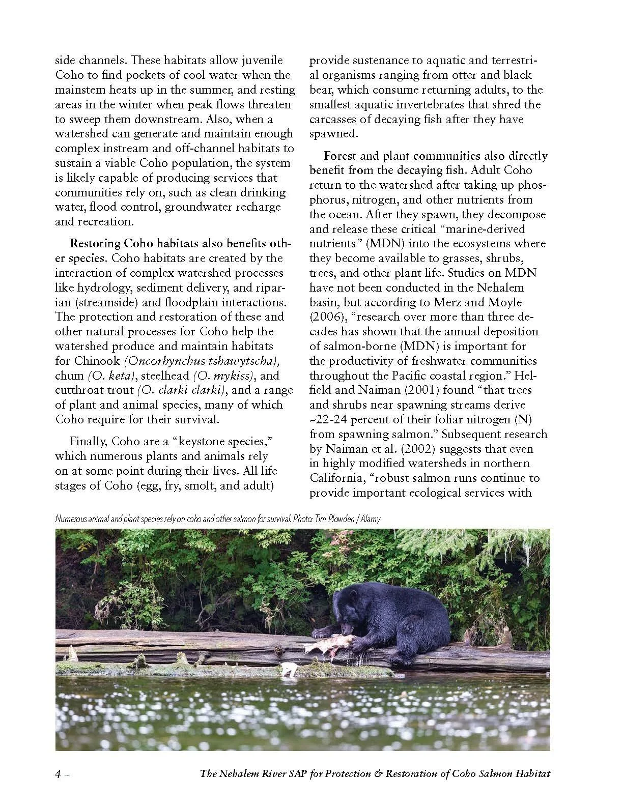 Nehalem-SAP-Coho-Salmon-Recovery-no-appendices_Page_014.jpg