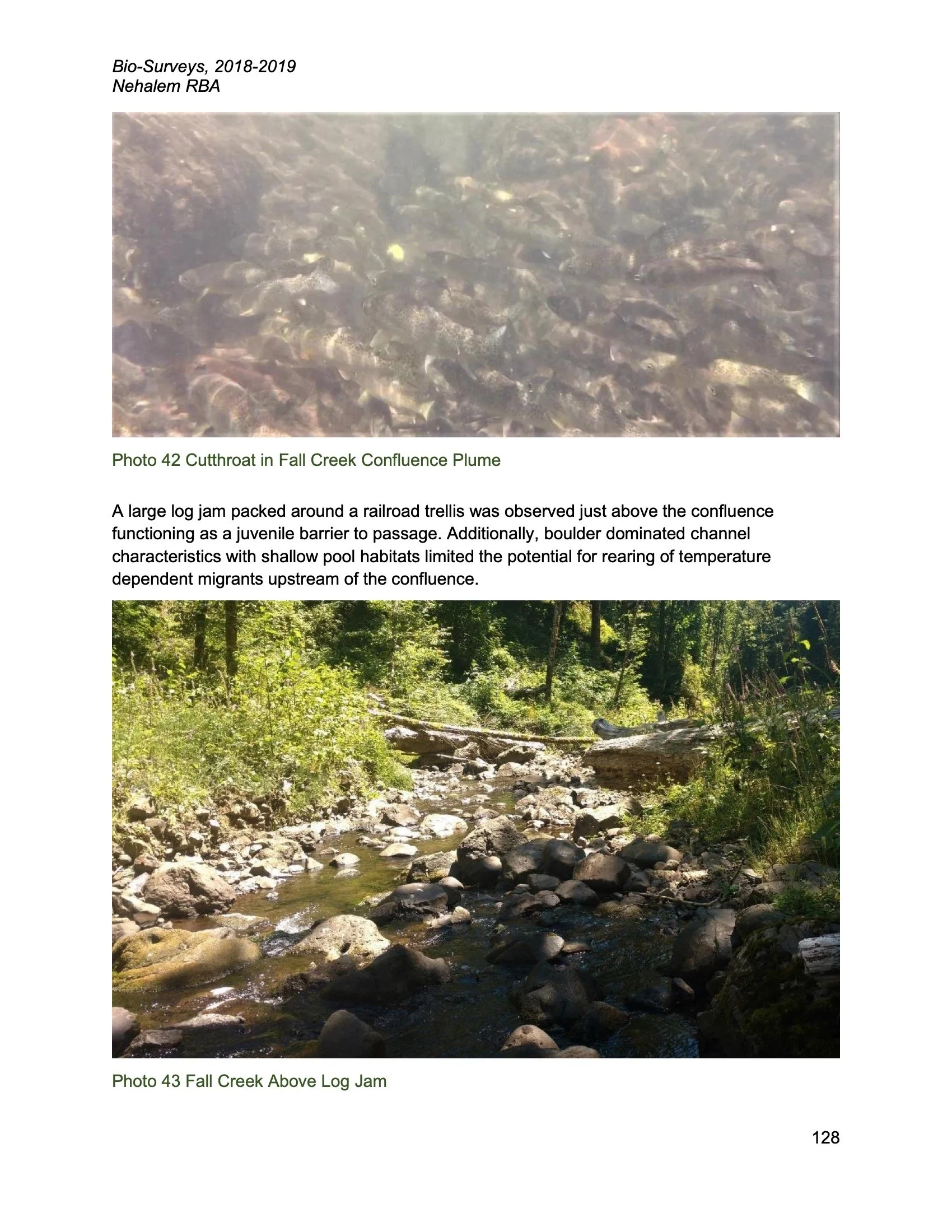 Nehalem SAP Appendices Binder 210.jpeg