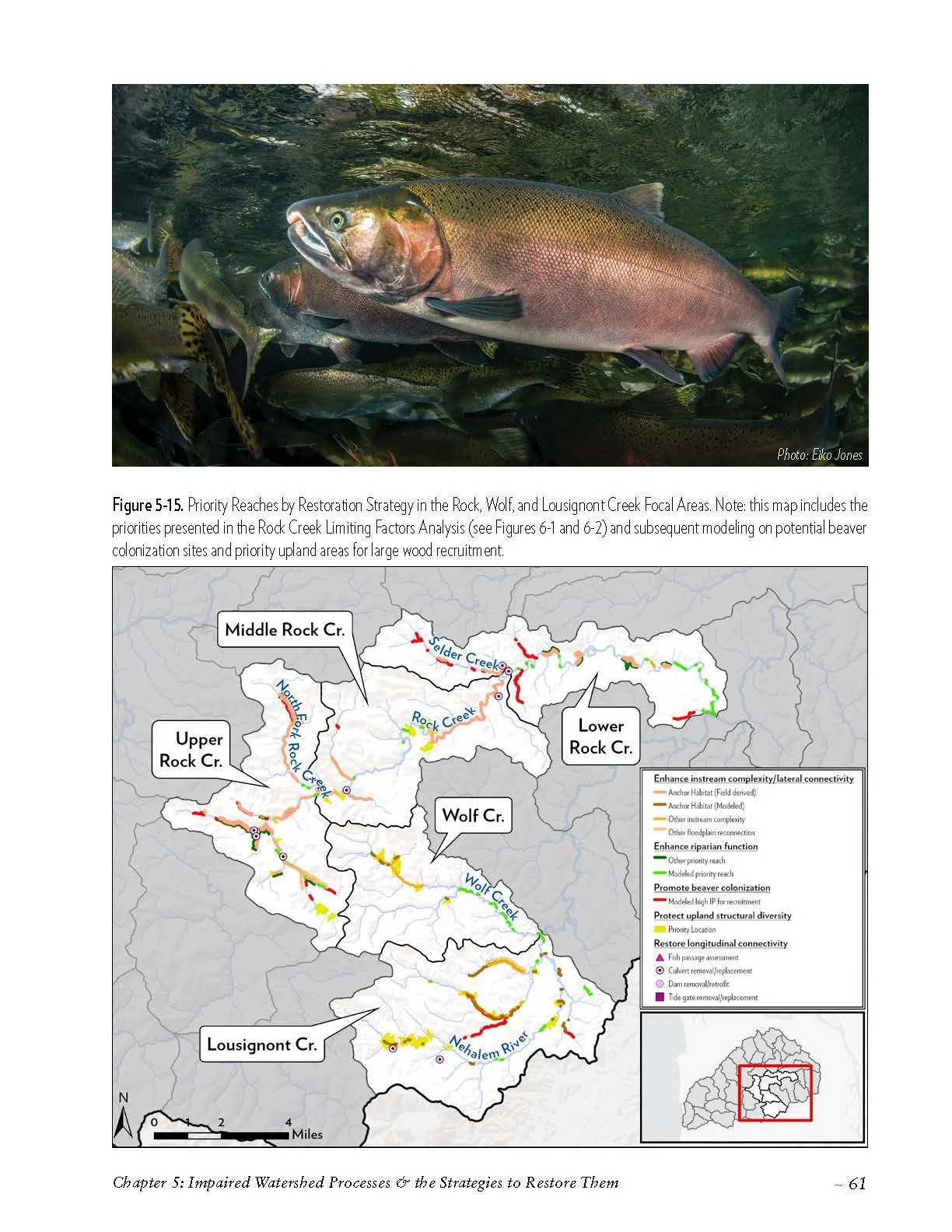 Nehalem-SAP-Coho-Salmon-Recovery-no-appendices_Page_071.jpg