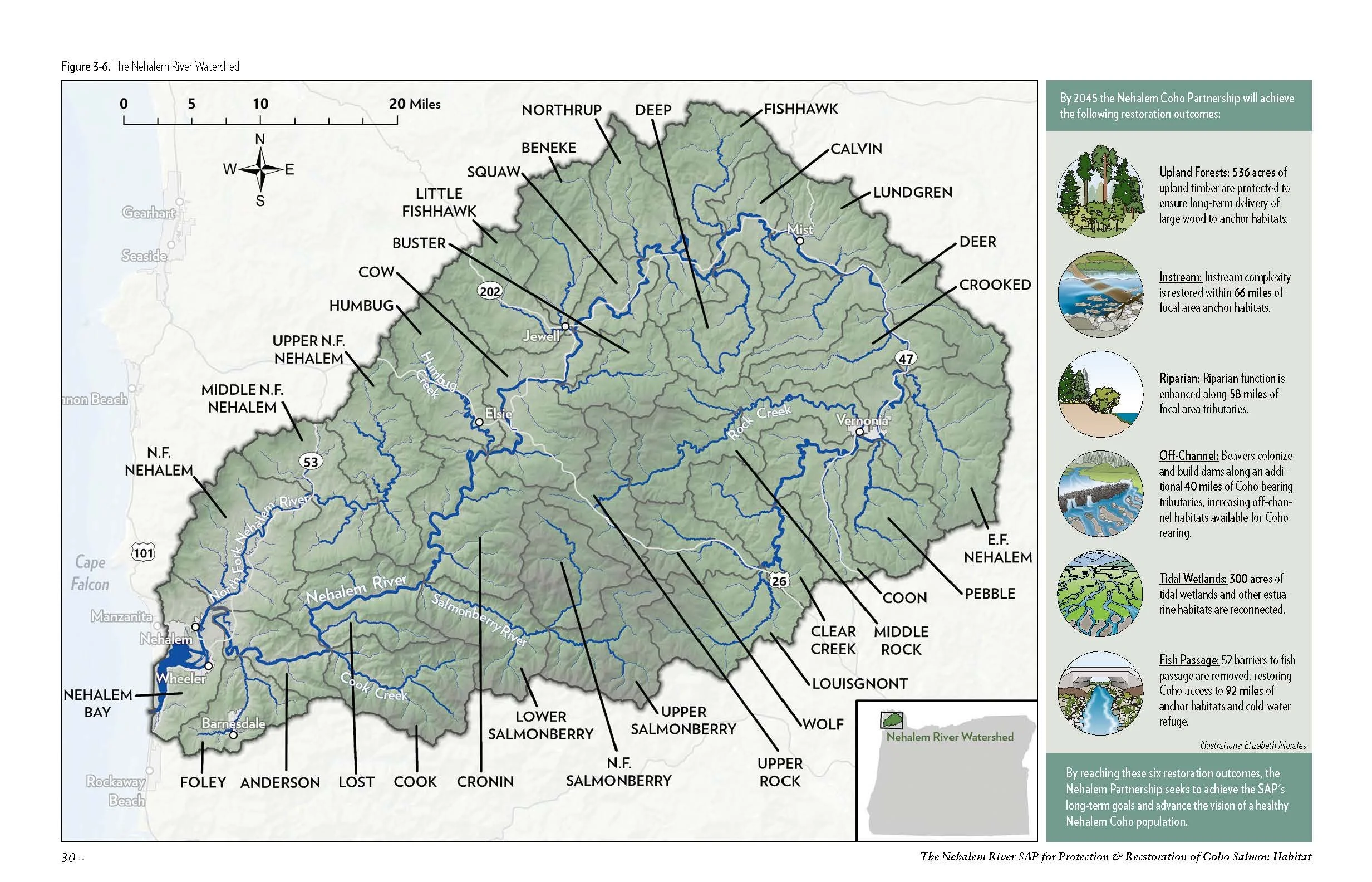 Nehalem-SAP-Coho-Salmon-Recovery-no-appendices_Page_040.jpg