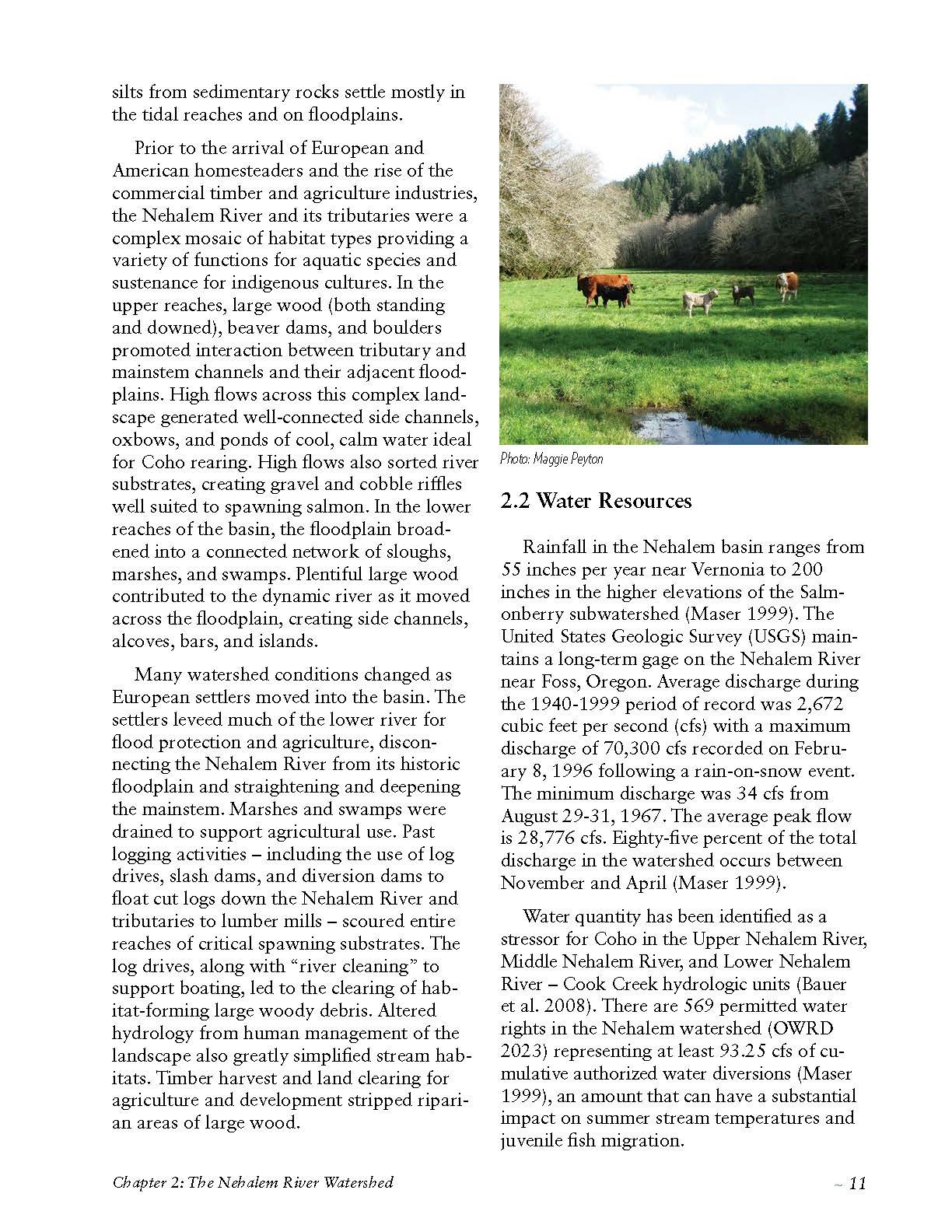 Nehalem-SAP-Coho-Salmon-Recovery-no-appendices_Page_021.jpg