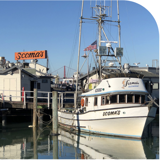 Fleet of Small Fishing Boats Around Pier 39, Fisherman's Wharf