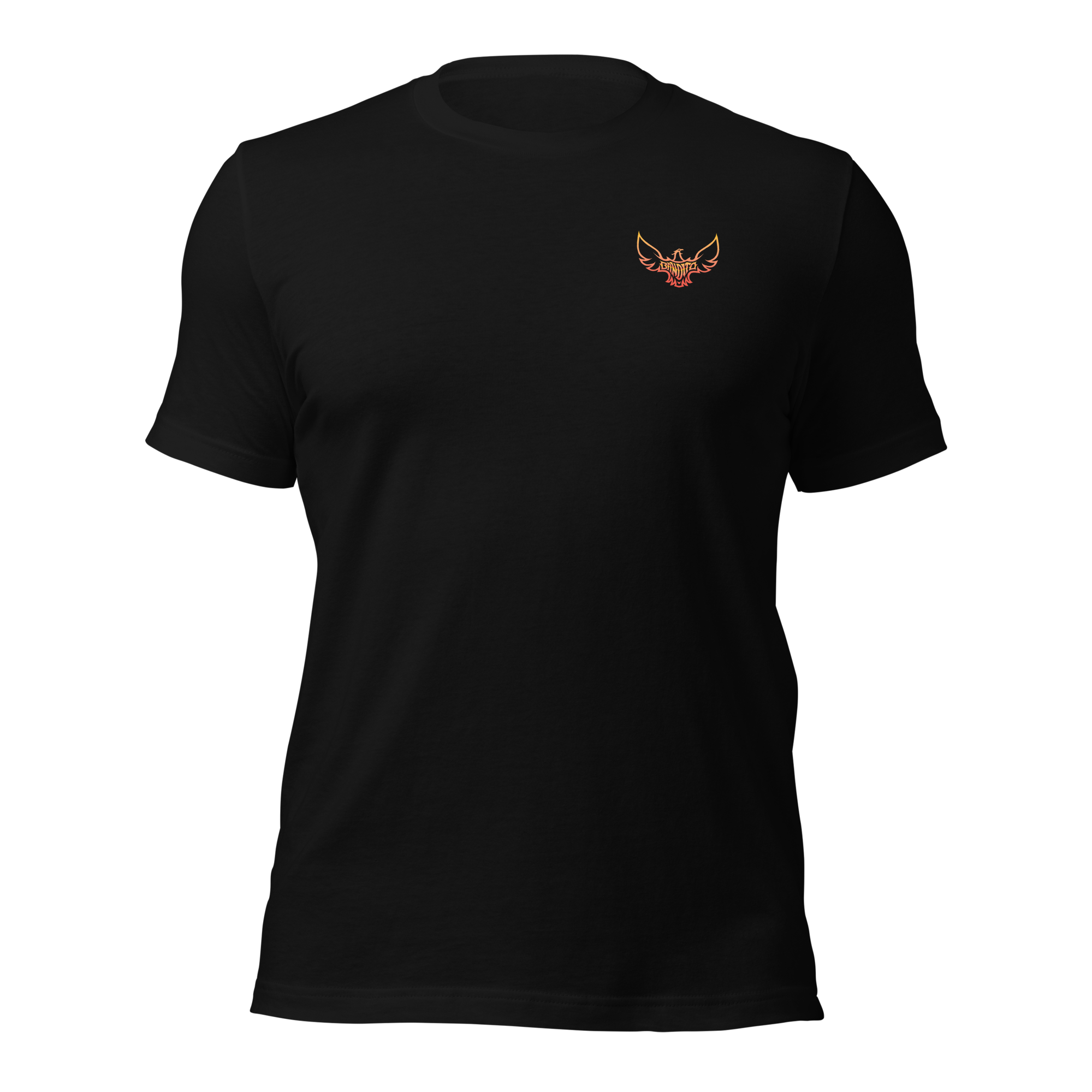 unisex-staple-t-shirt-black-front-64c969b3de7b4.png