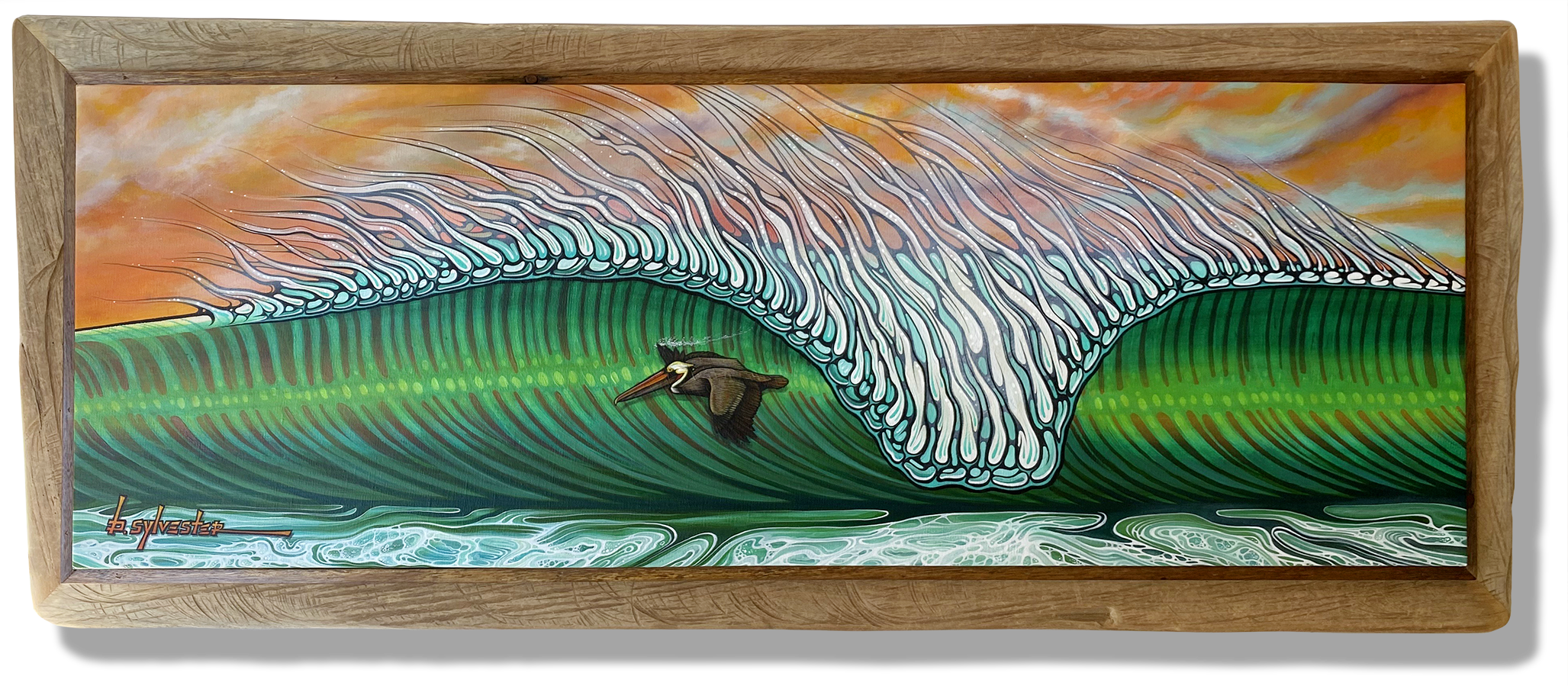 Pelican surfing wave dragging wing