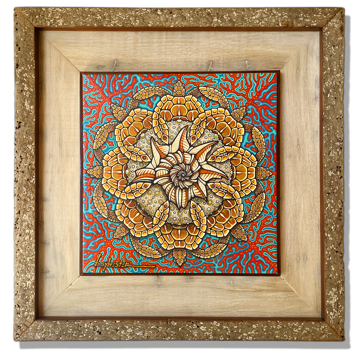 Sea turtles, Sea Biscuit, Sea Shell, Coral, Sea Fan, Mandala