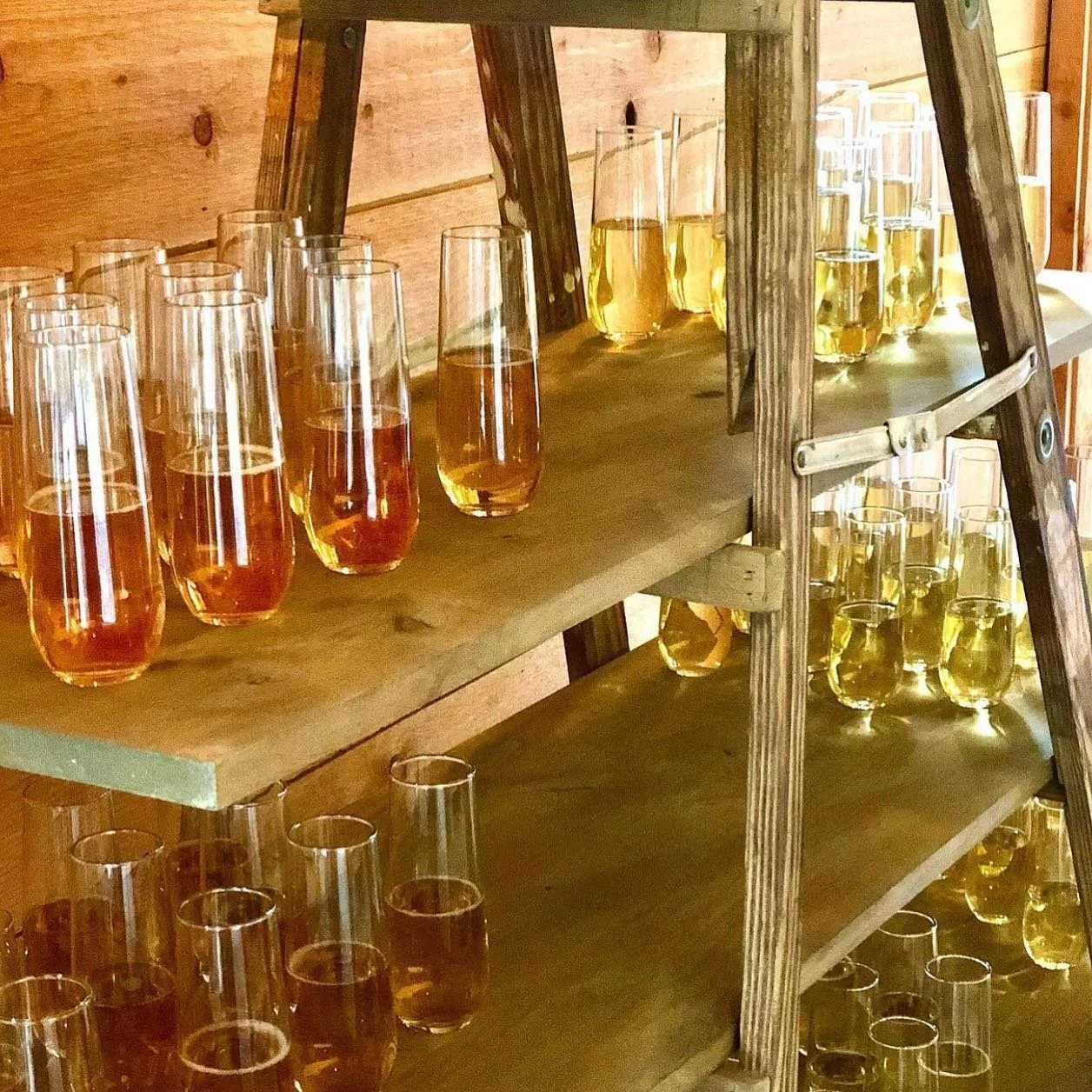 Alchohol in glasses