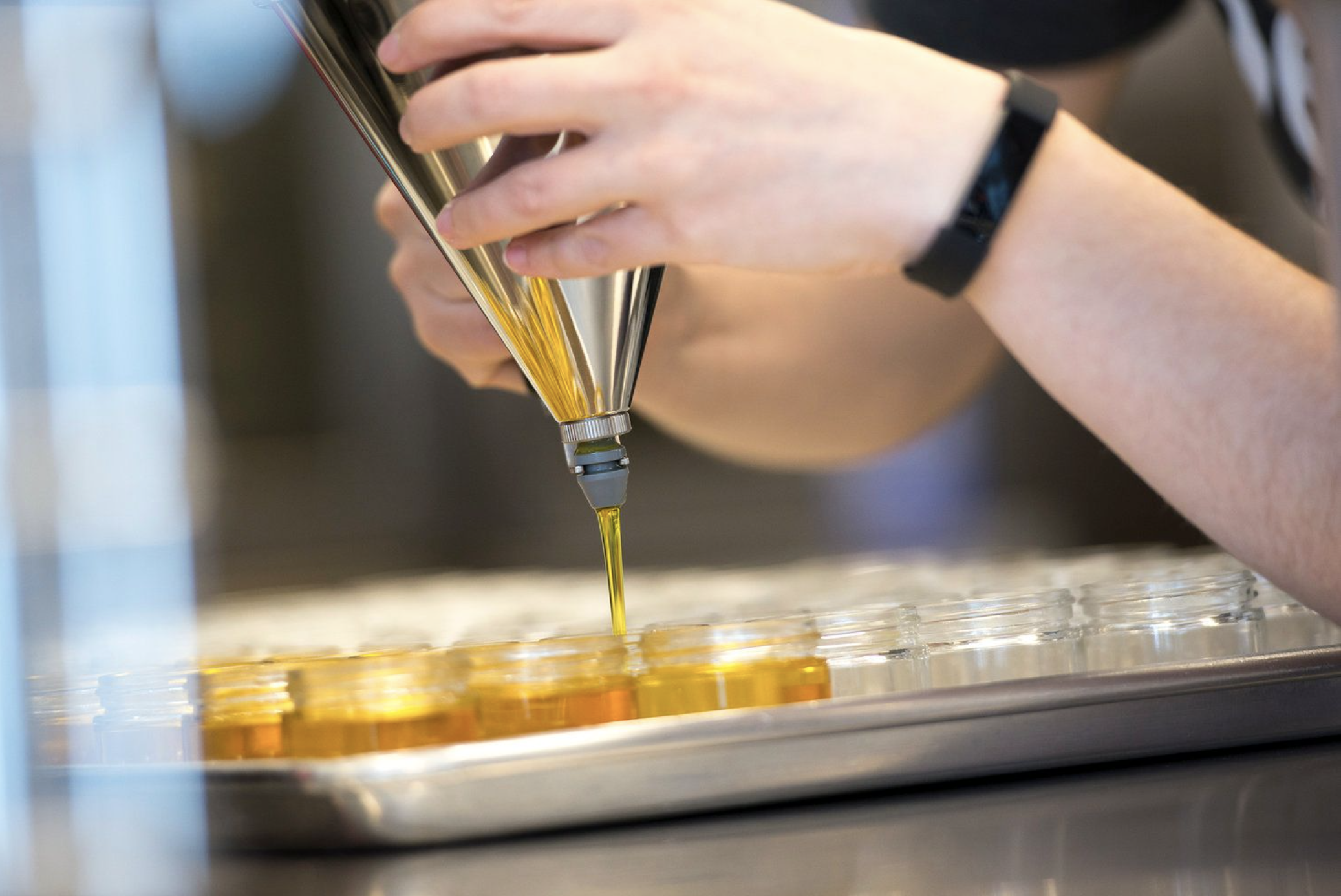 Screen Shot 2024-02-02 at 2.31.40 PM.png