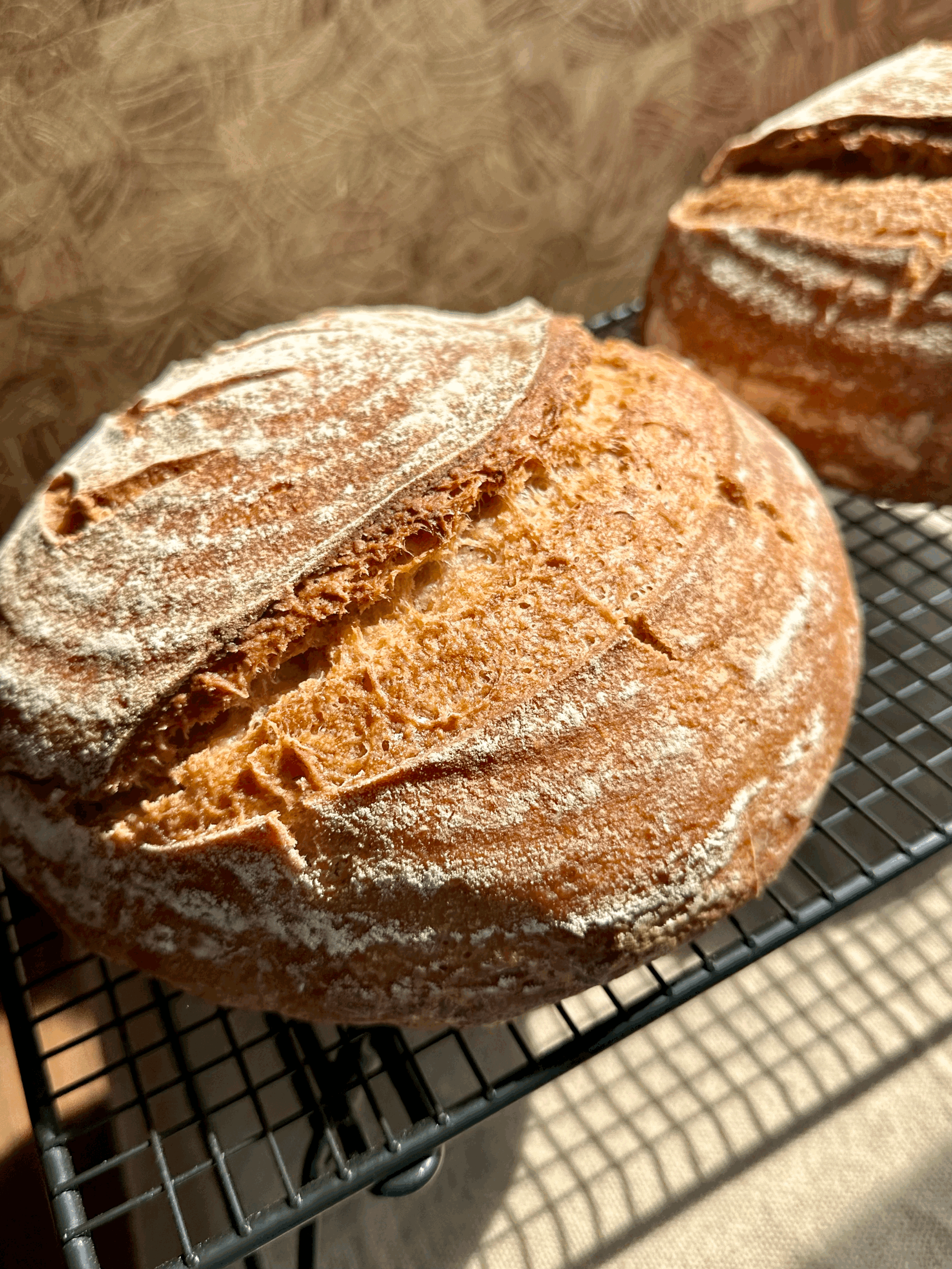 Whole Grain Gluten-Free Sourdough Bread