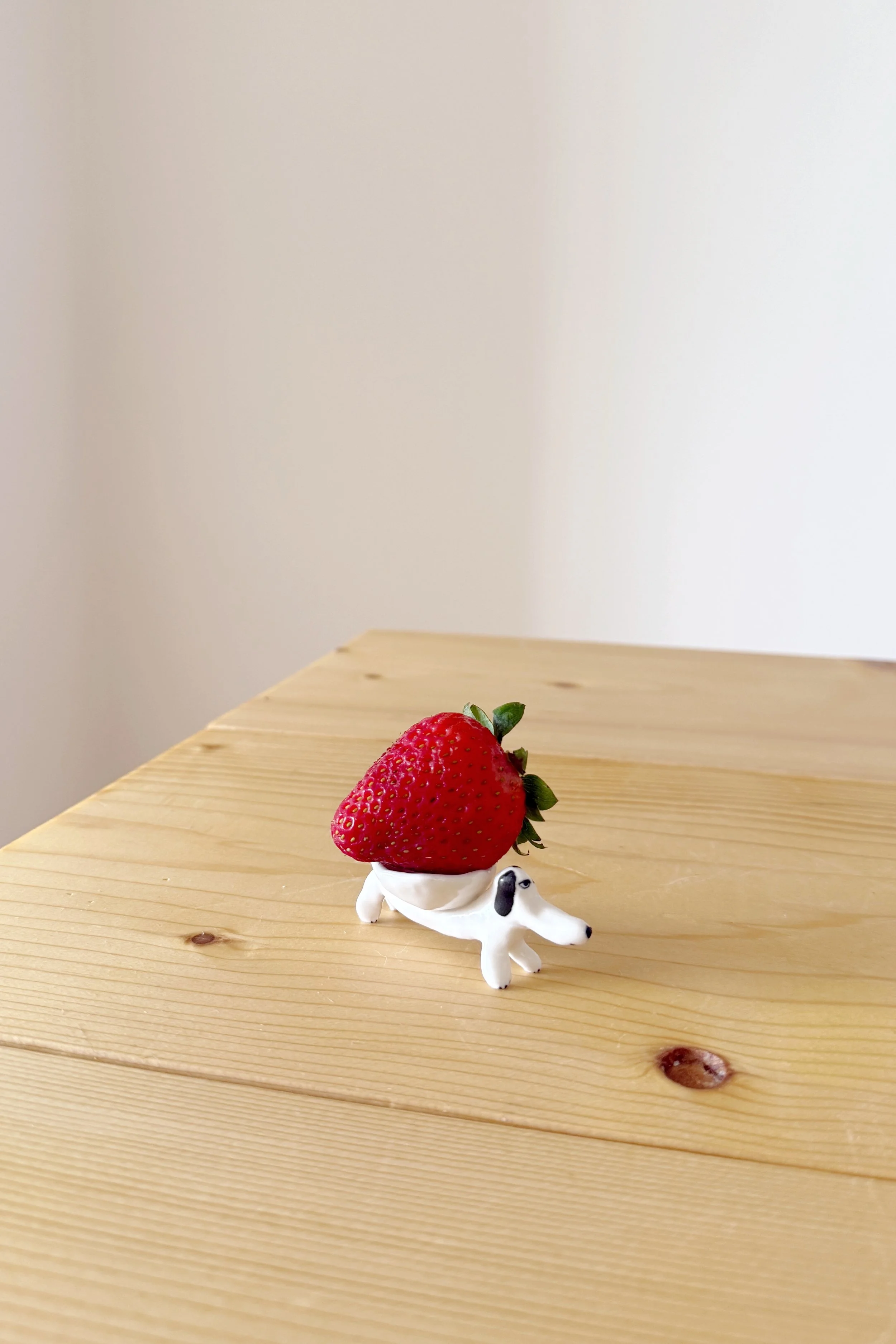 One Strawberry Dish Dog