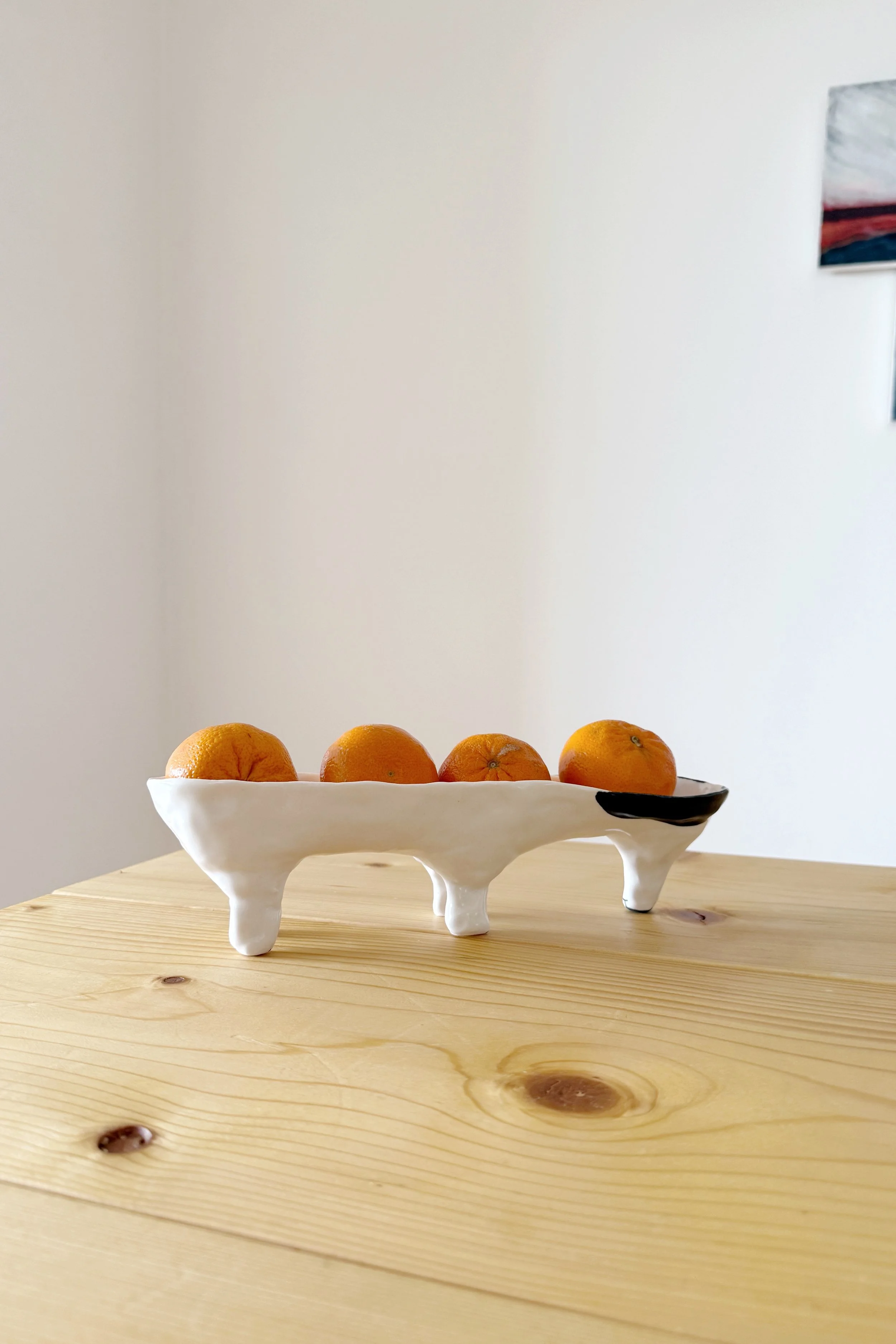Platter Dog