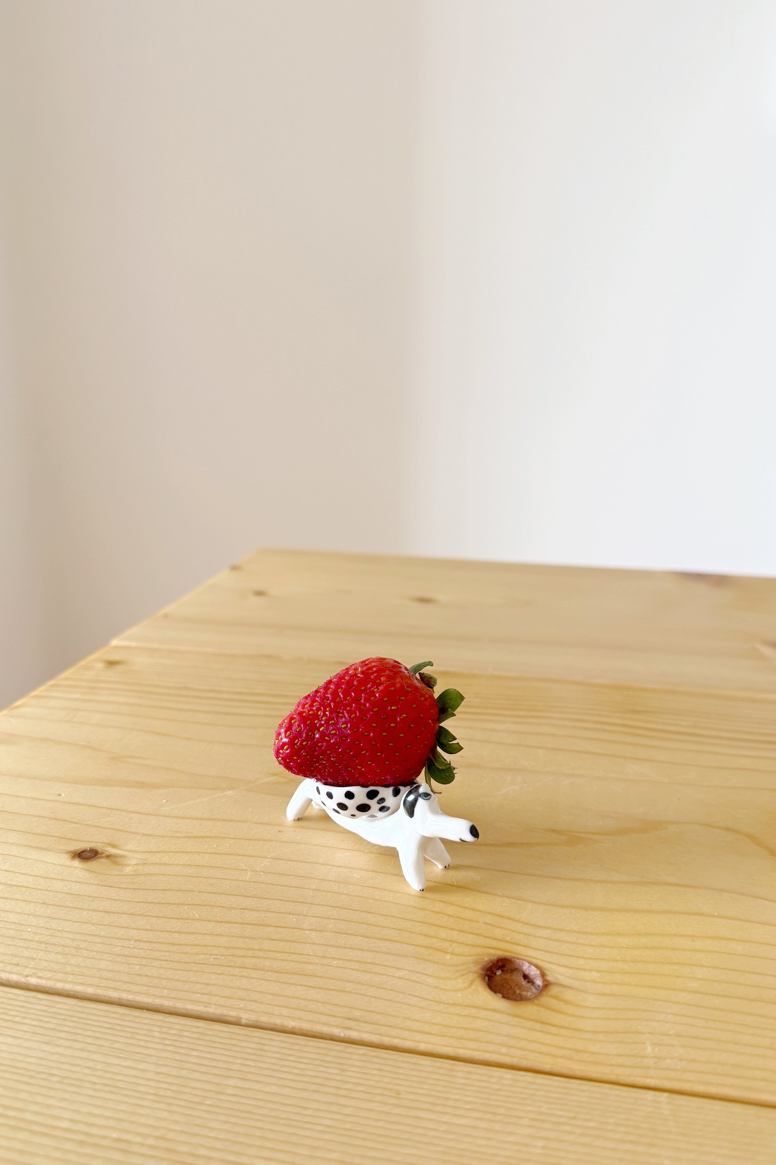 One Strawberry Dish Dog