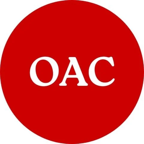 The Outsiders Art Club