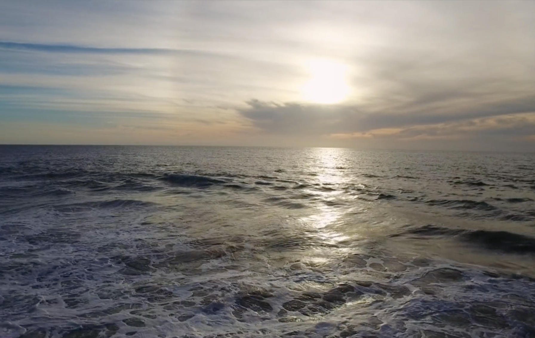 Ayahuasca, Ego Death and the Modern Mind