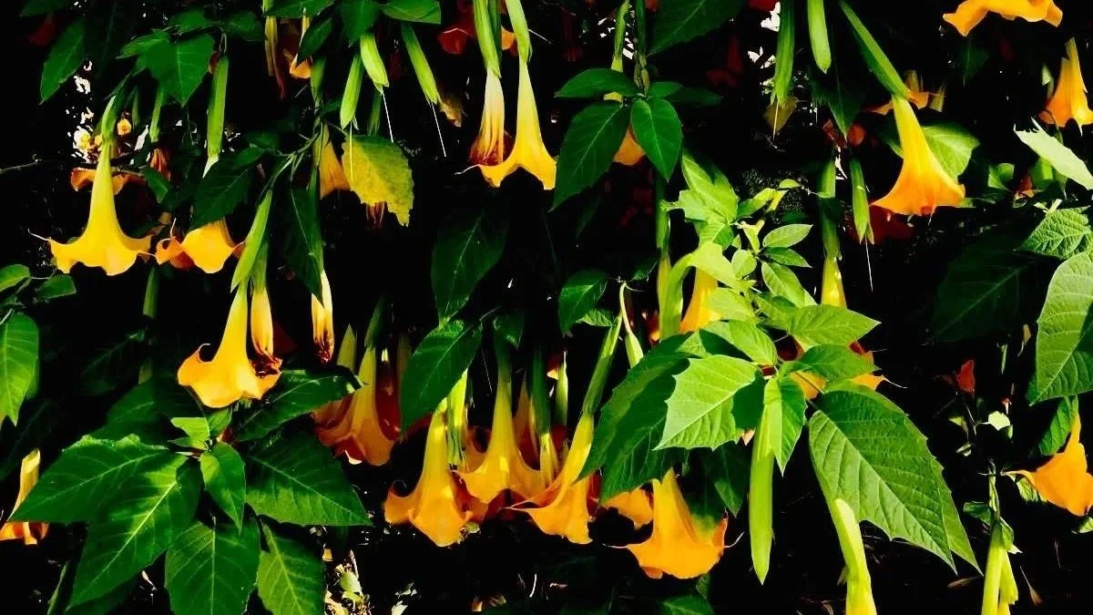 To what extent is reality a choice?