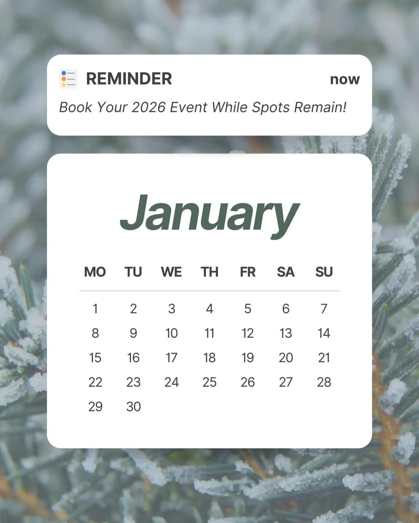 Now that we&rsquo;re in 2026, we wanted to share our current availability for the year! This of course changes as bookings come in throughout the first few months of the year, so we&rsquo;ll share updated availability closer to the summer!