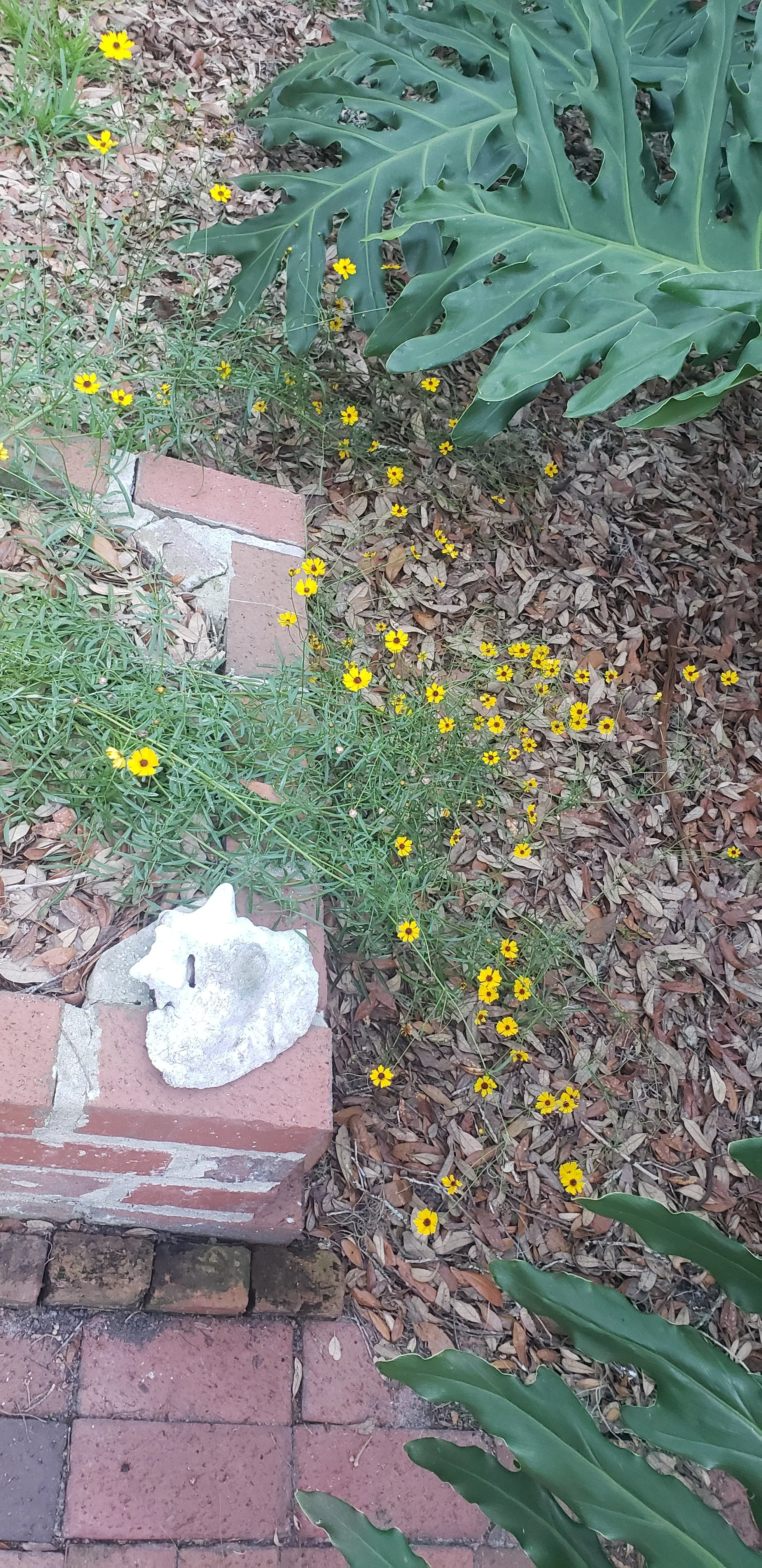 20260728_181352.jpg