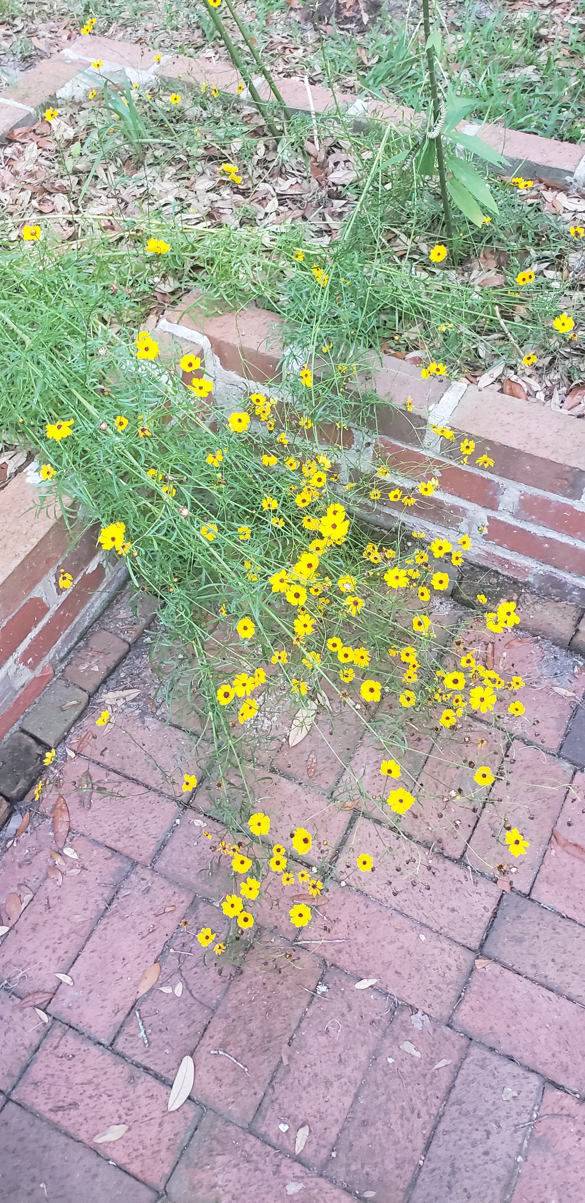 20260728_181345.jpg