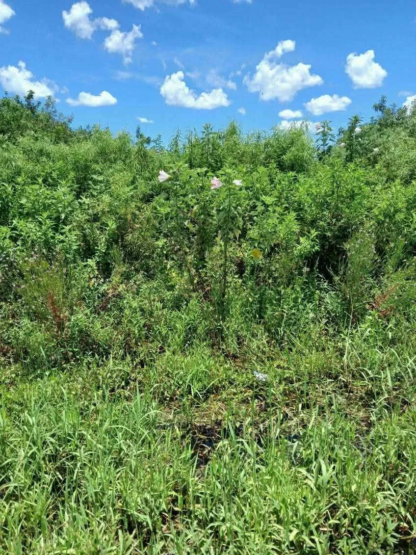 7f9c0bf3-6ac3-4c9d-9583-6622f0127e7b.jpg