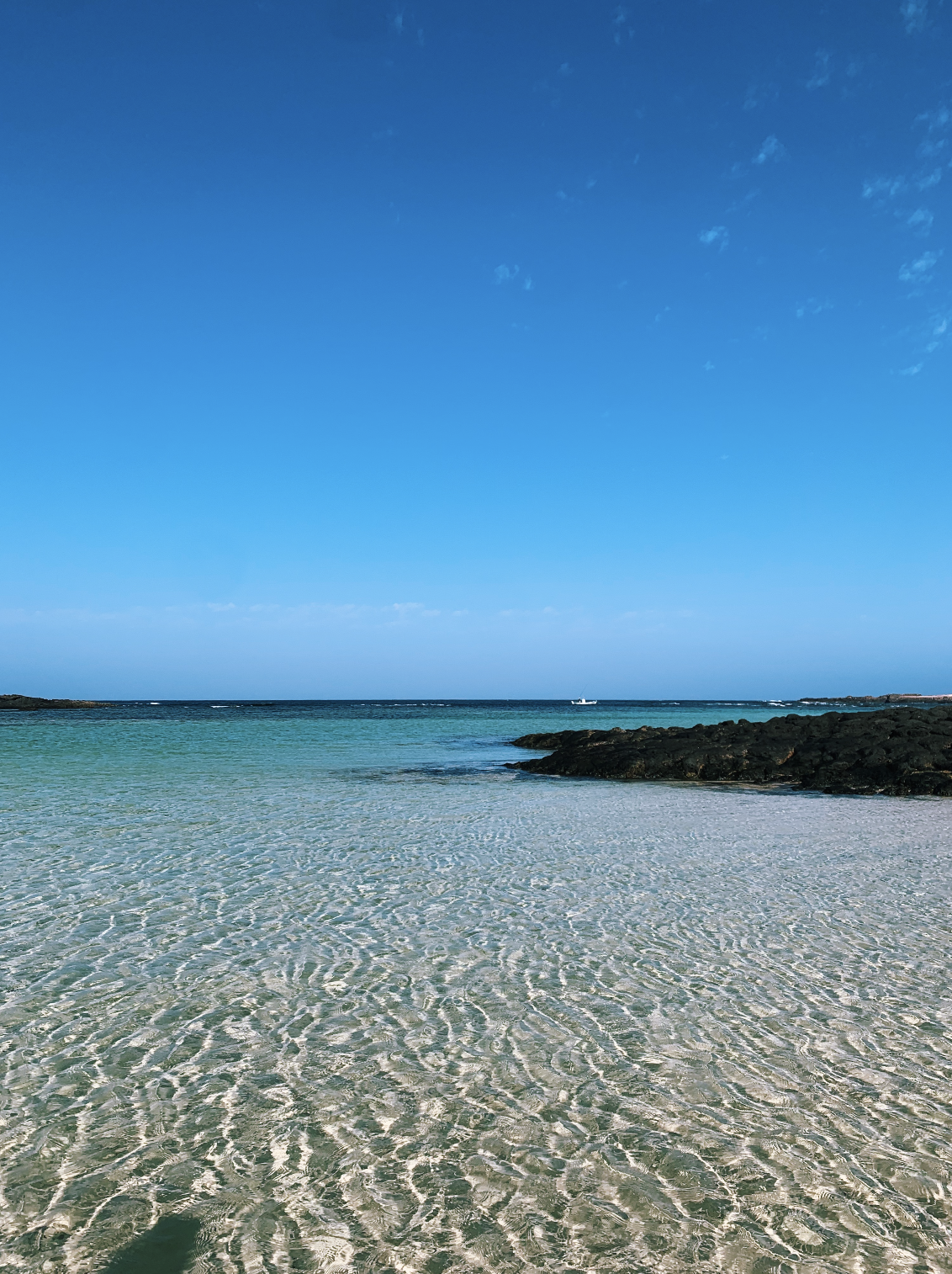 Screenshot 2023-07-23 at 09.32.39.png