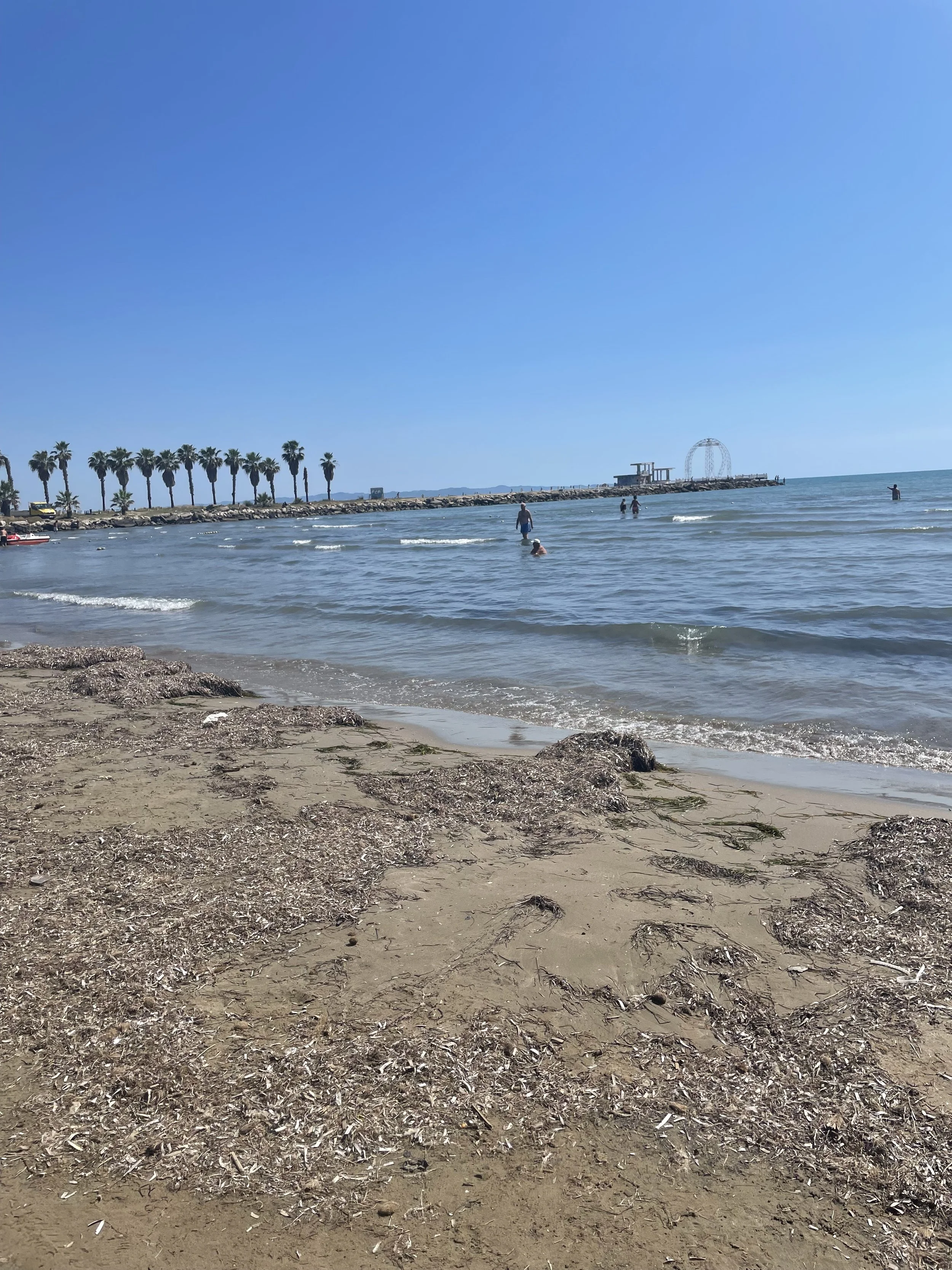 IMG_0189.jpeg