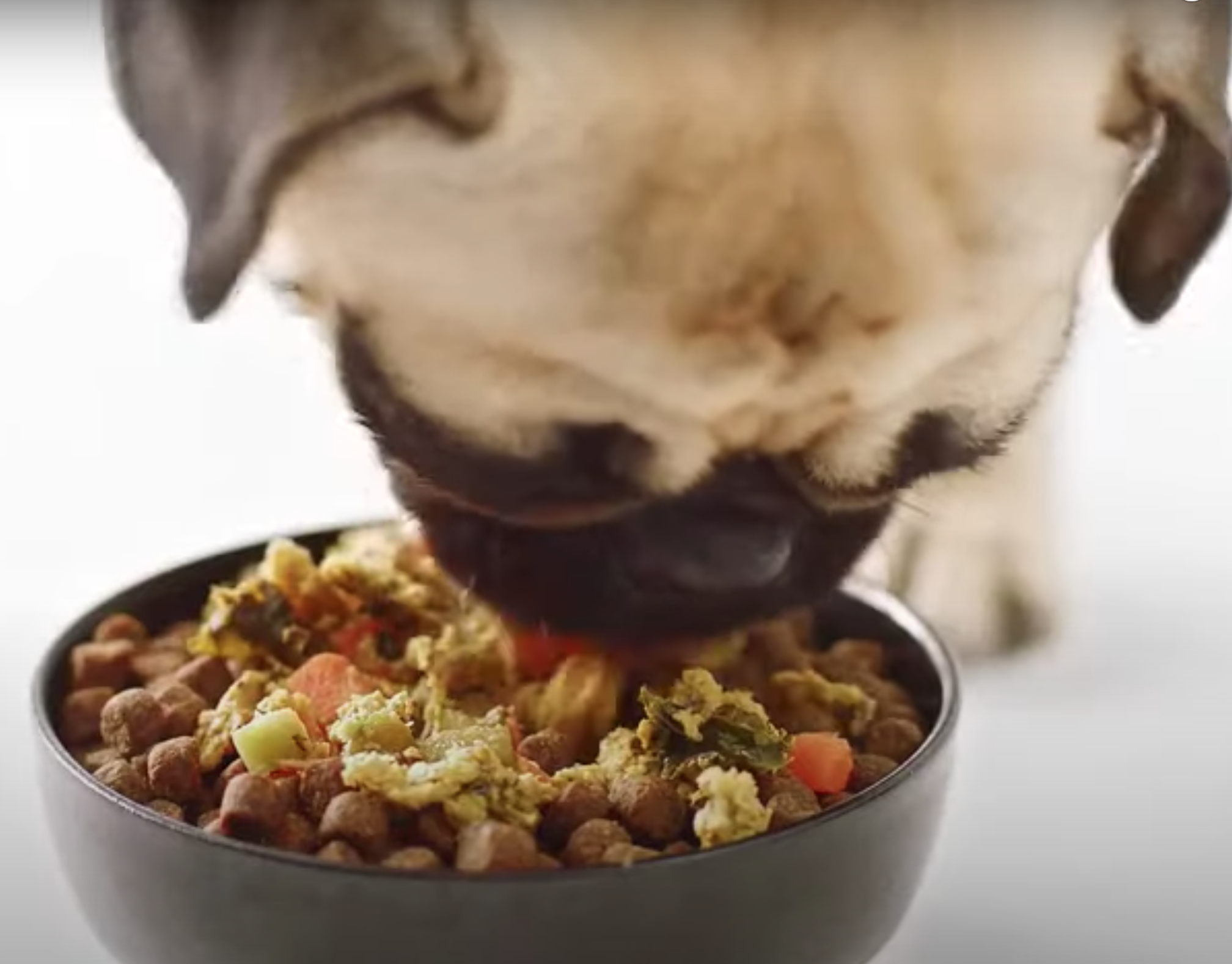 Screen Shot 2023-07-03 at 1.50.24 AM.png