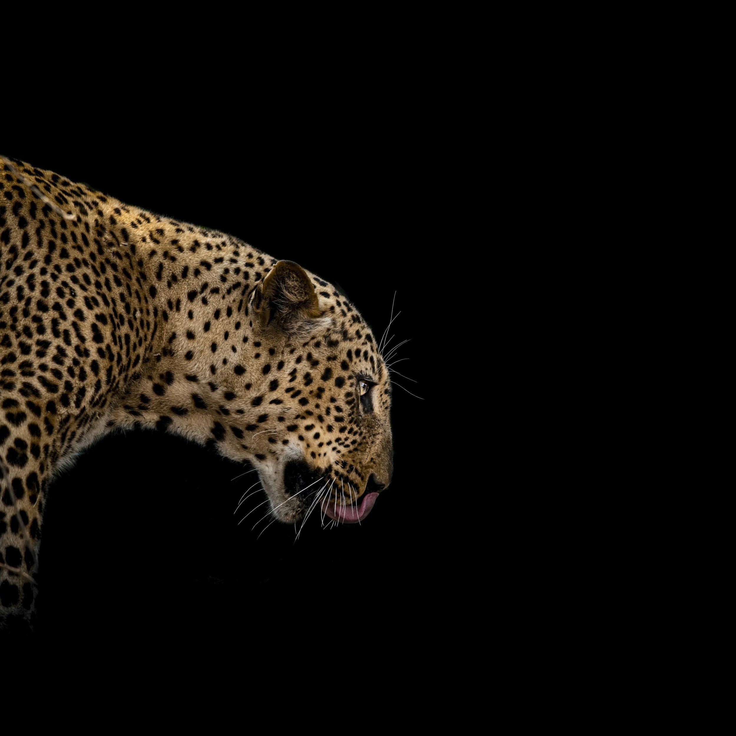 unsplash-image-DGUGTIie8zA.jpg