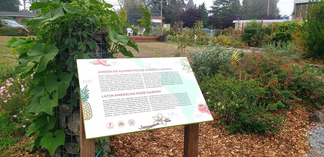 Latin American Garden2.jpg
