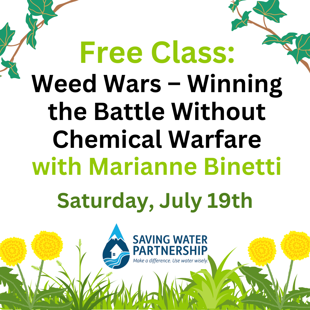 Free Class: Organic Weed Control with Marianne Binettiti