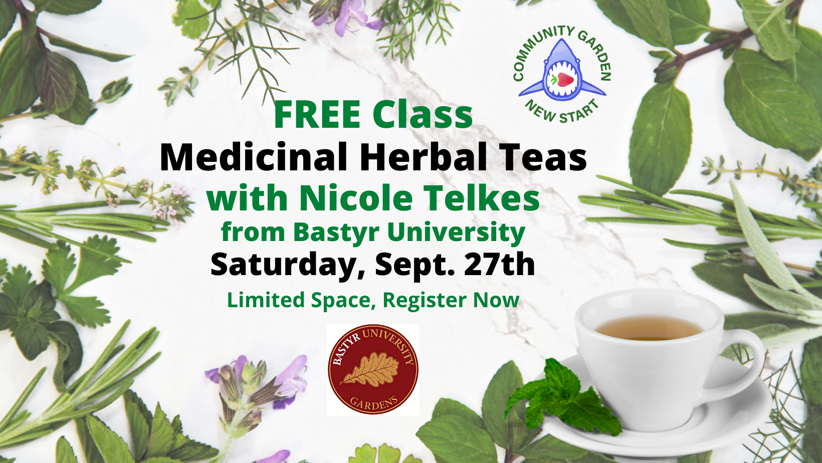 Free Class: DIY Herbal Medicinal Teas