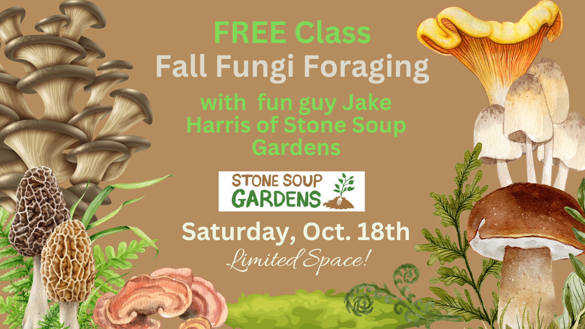 Free Class: Foraging for Fall Fungi with Jake Harris