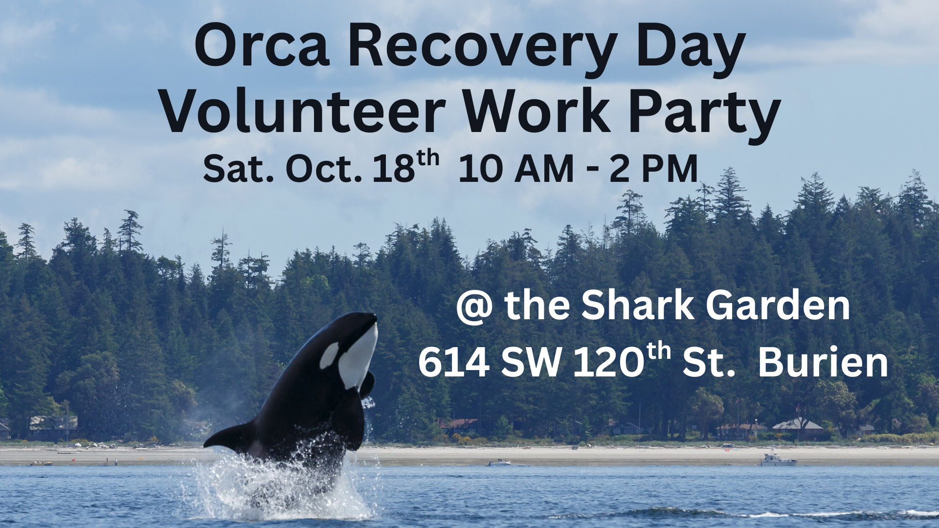 Orca Recovery Day Volunteer Party