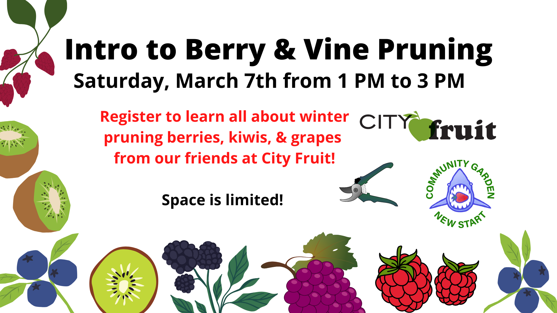 FREE CLASS: Intro to Berry & Vine Pruning
