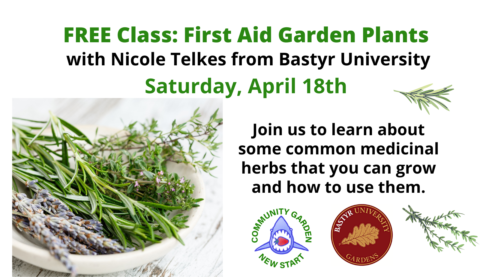 FREE Class: First Aid Garden Plants with Nicole Telkes 