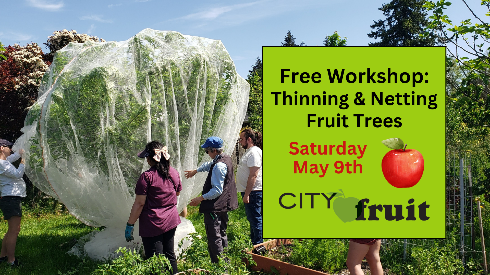 FREE Class: Thinning & Netting Fruit Trees for Better Harvests