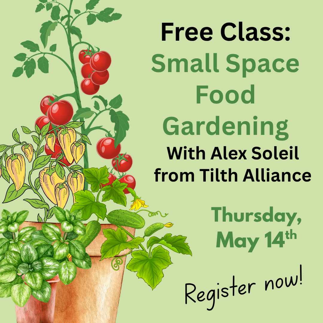 Free Class: Small Space Gardening by Tilth